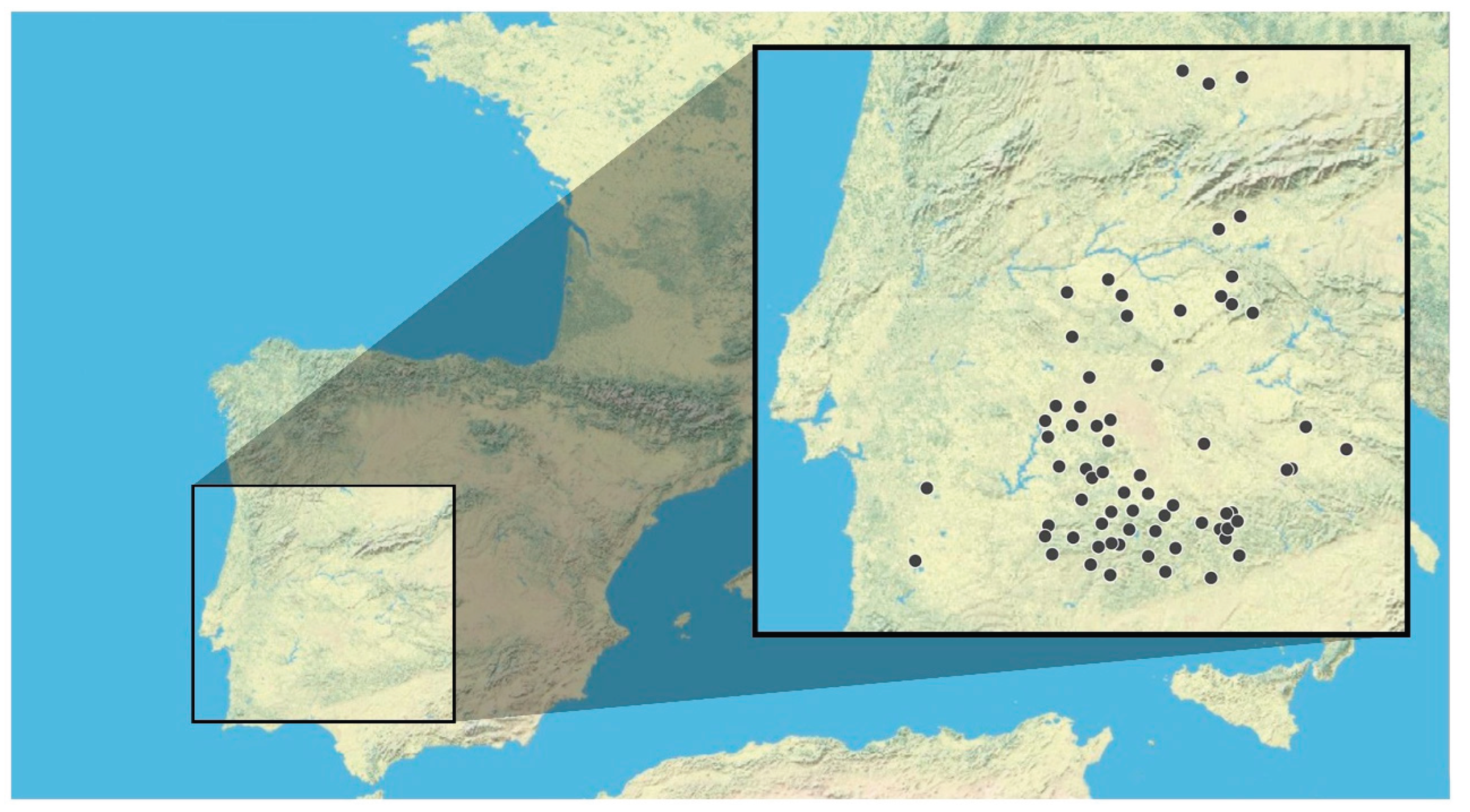 Preprints 180305 g001