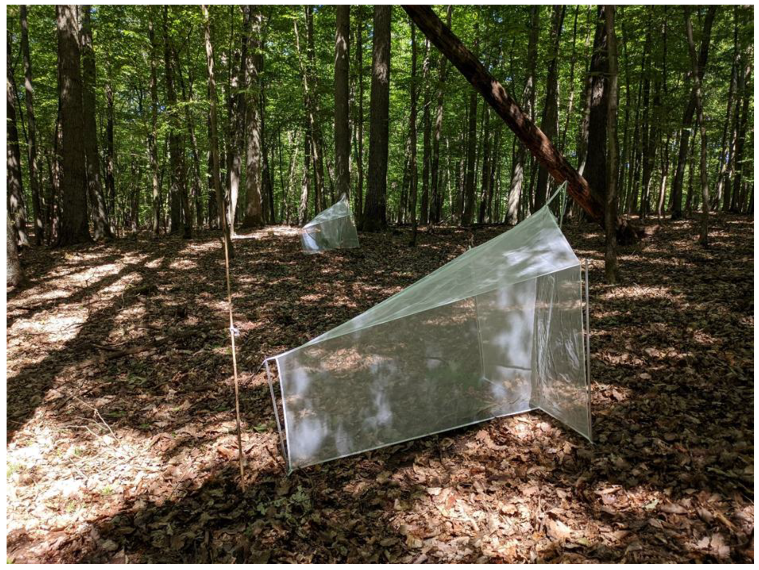 Preprints 142699 g001