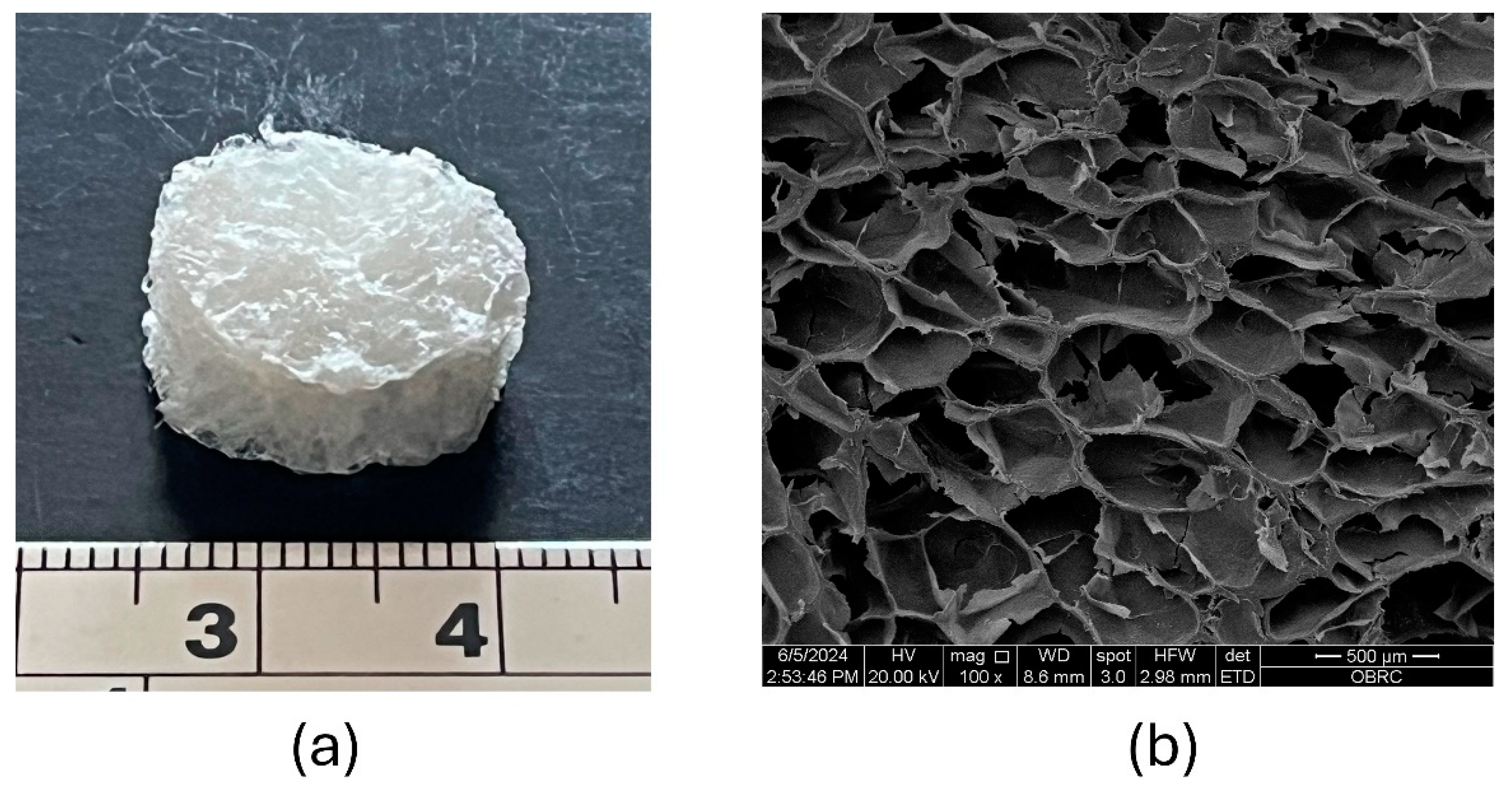 Preprints 150245 g001