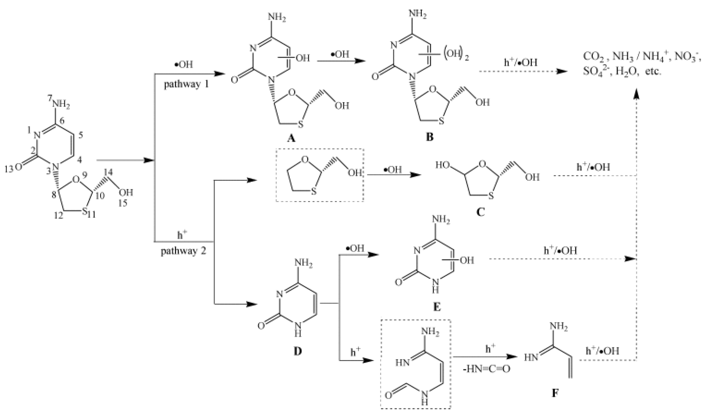 Preprints 79266 g001
