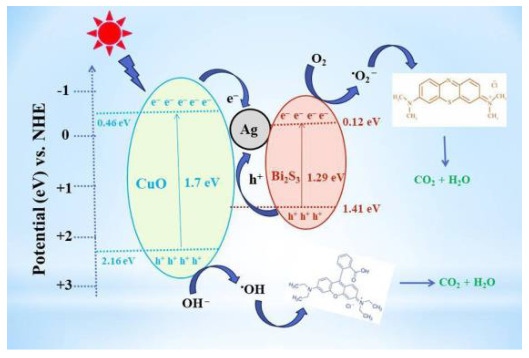 Preprints 79266 g007