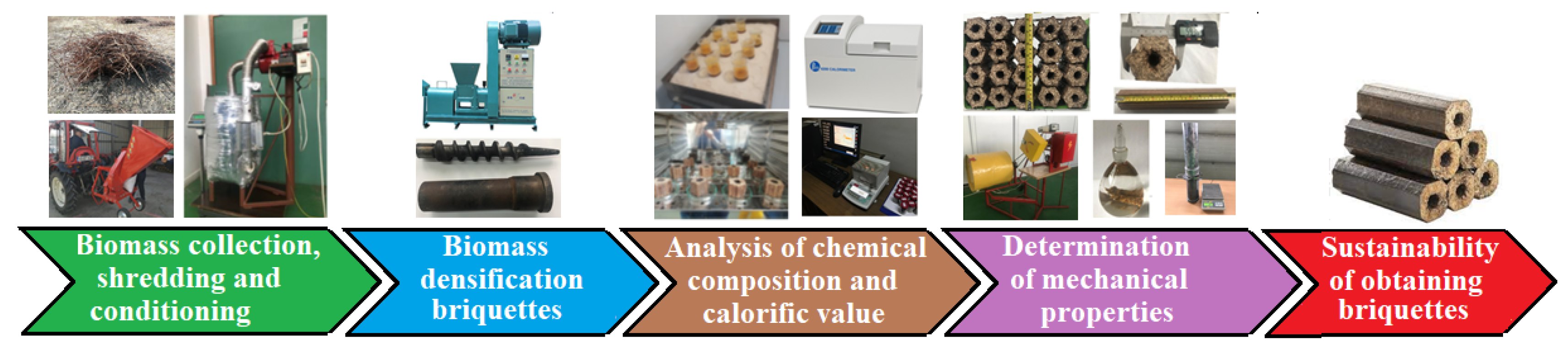 Preprints 107834 g002