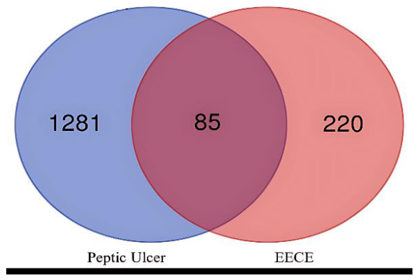 Preprints 223006 g004 Preprints 223006 g004