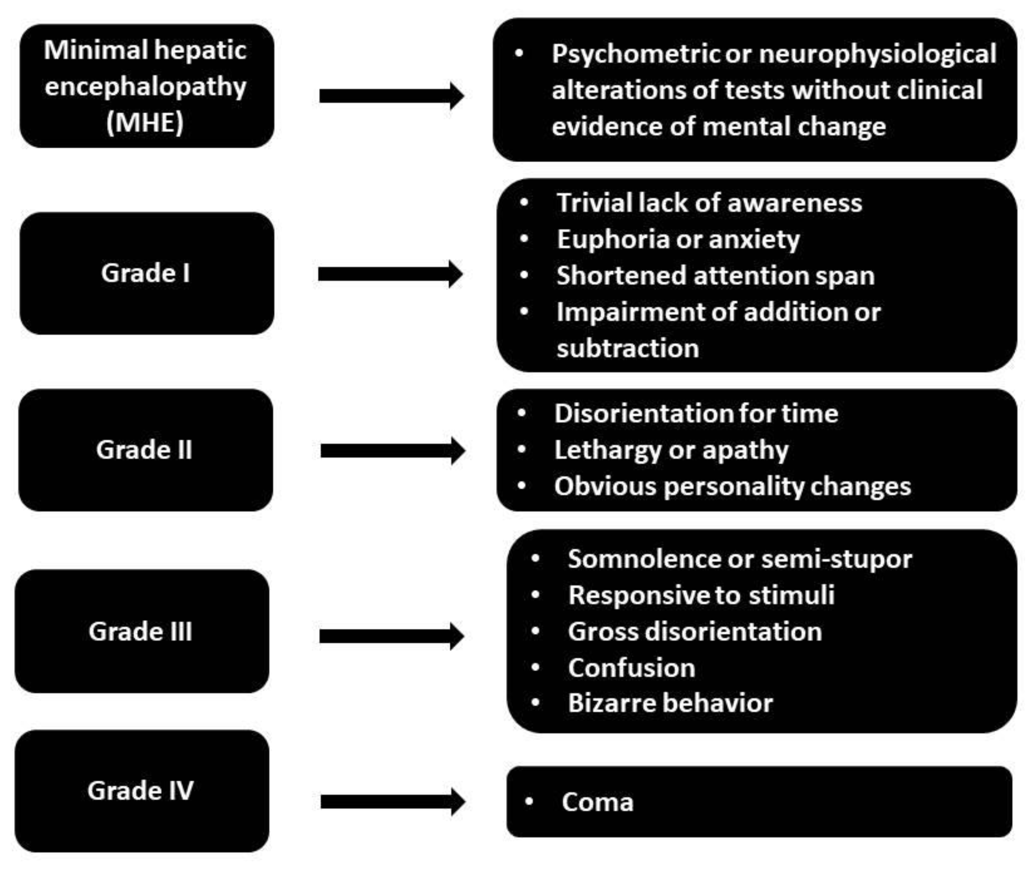 Preprints 149187 g001