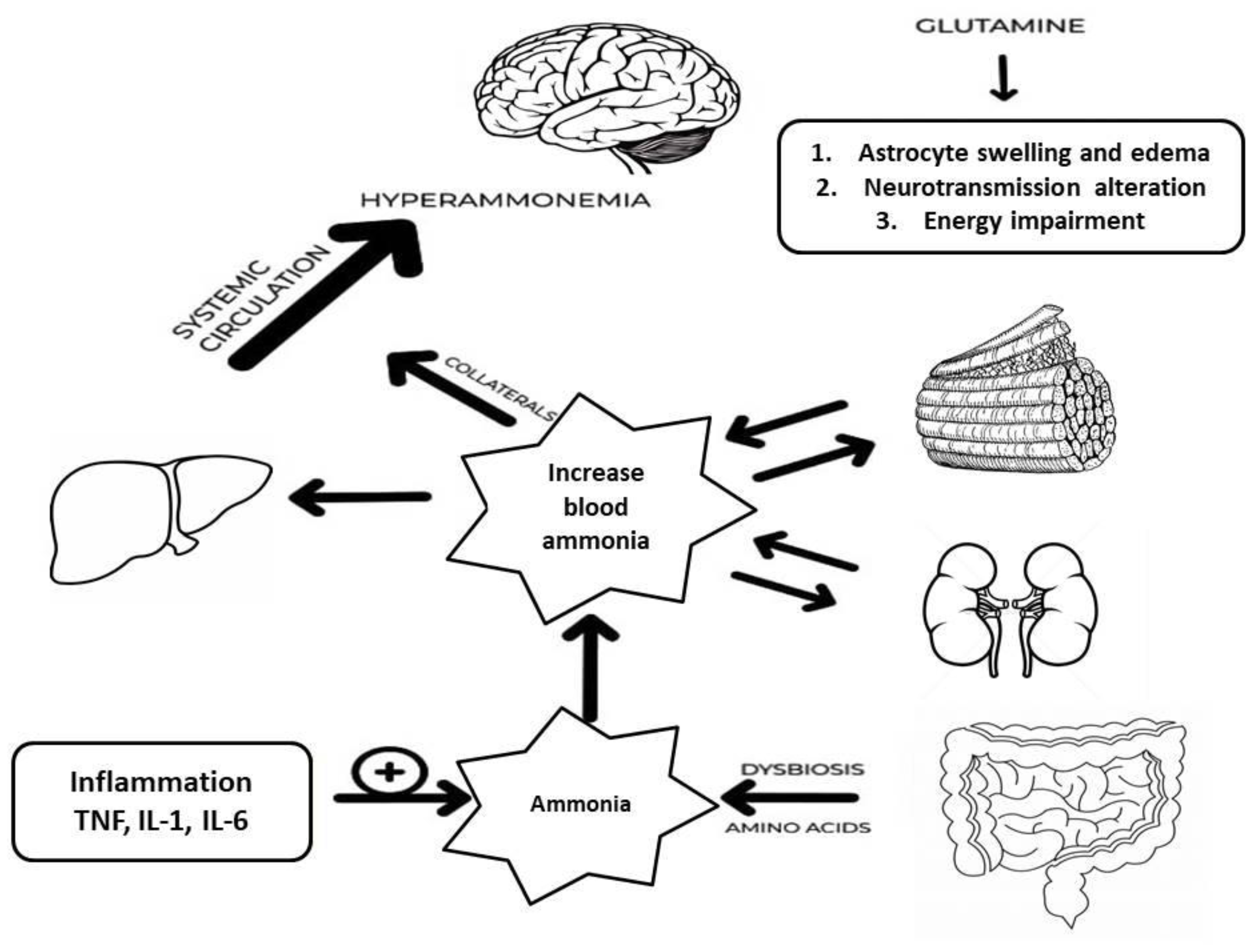 Preprints 149187 g002