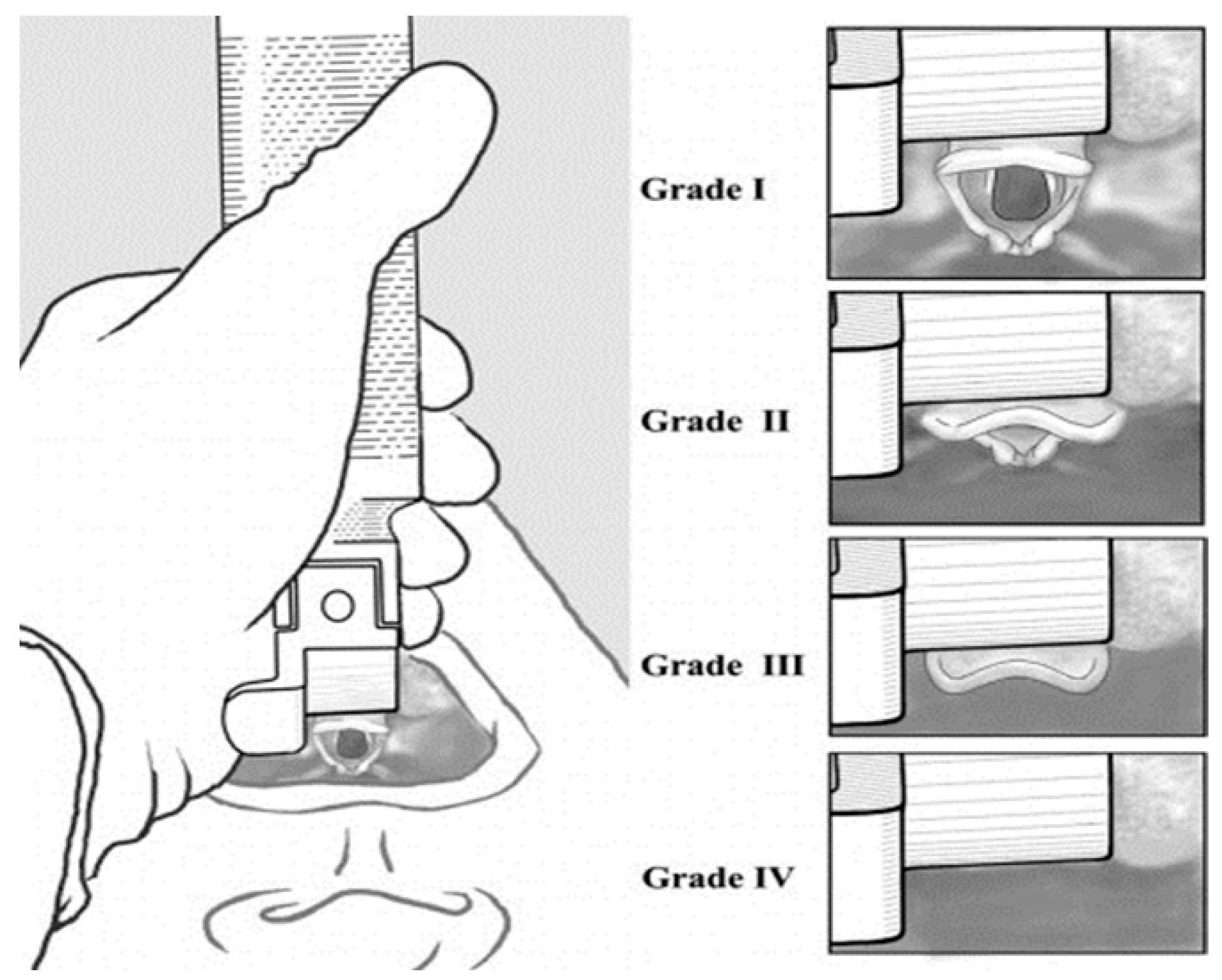 Preprints 106341 g003