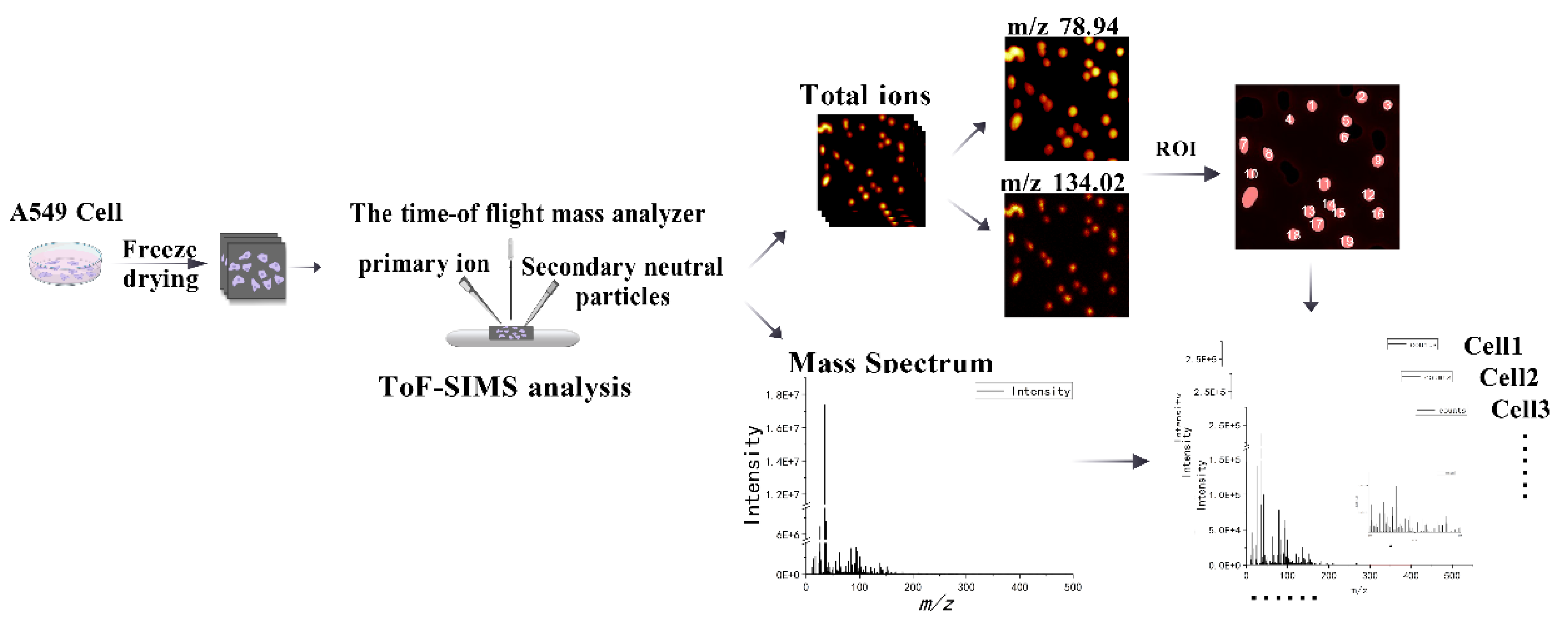 Preprints 188627 g001