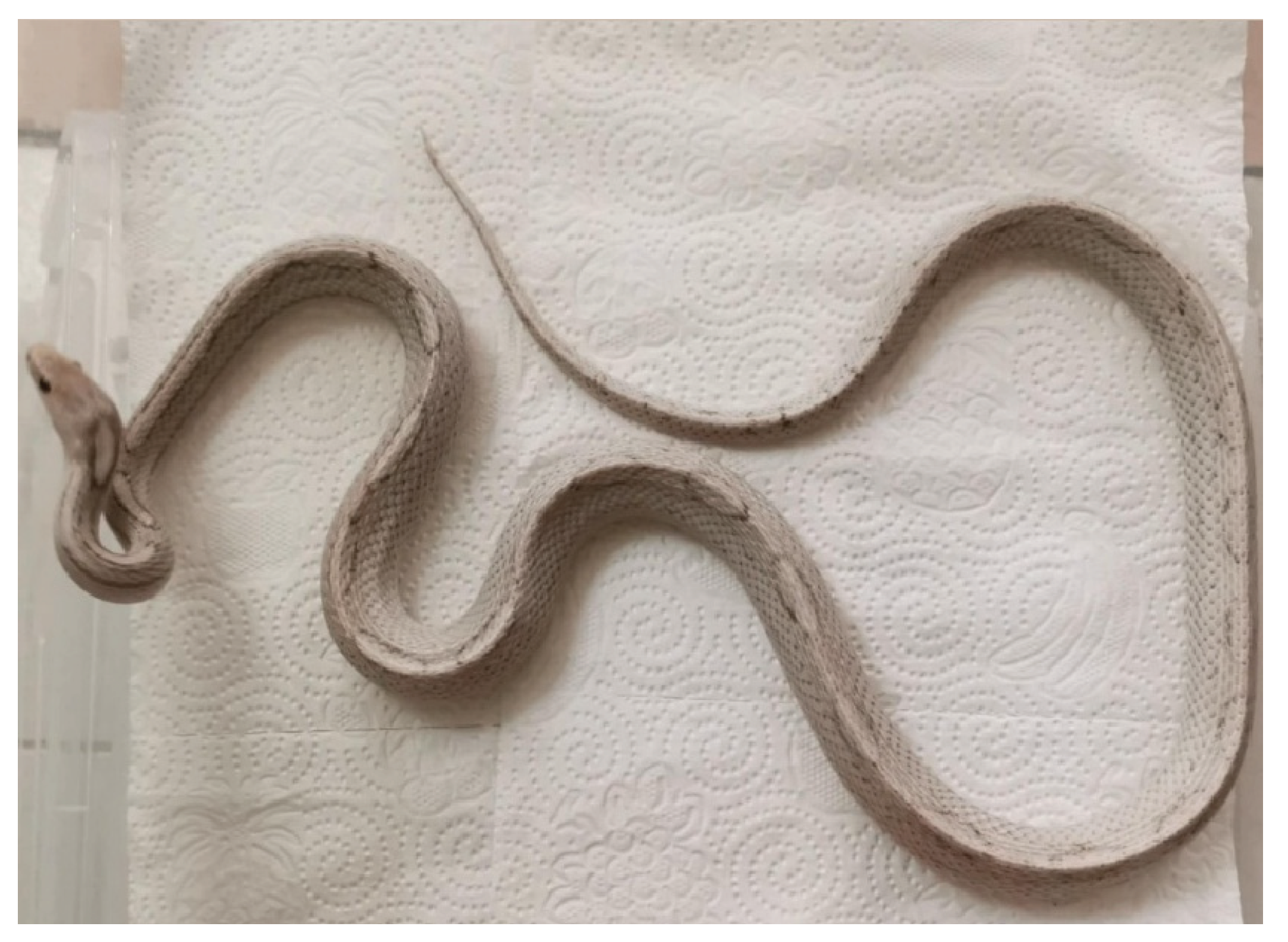 Preprints 179136 g001