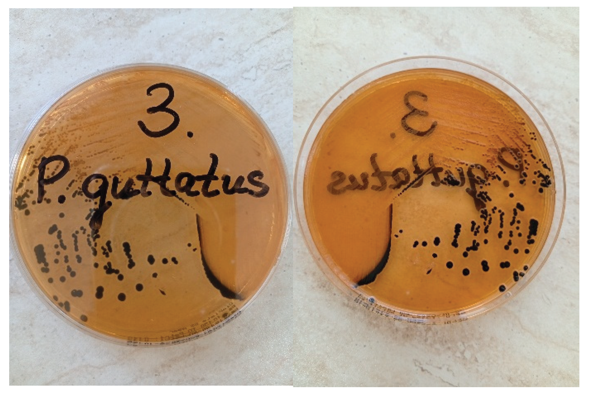 Preprints 179136 g002