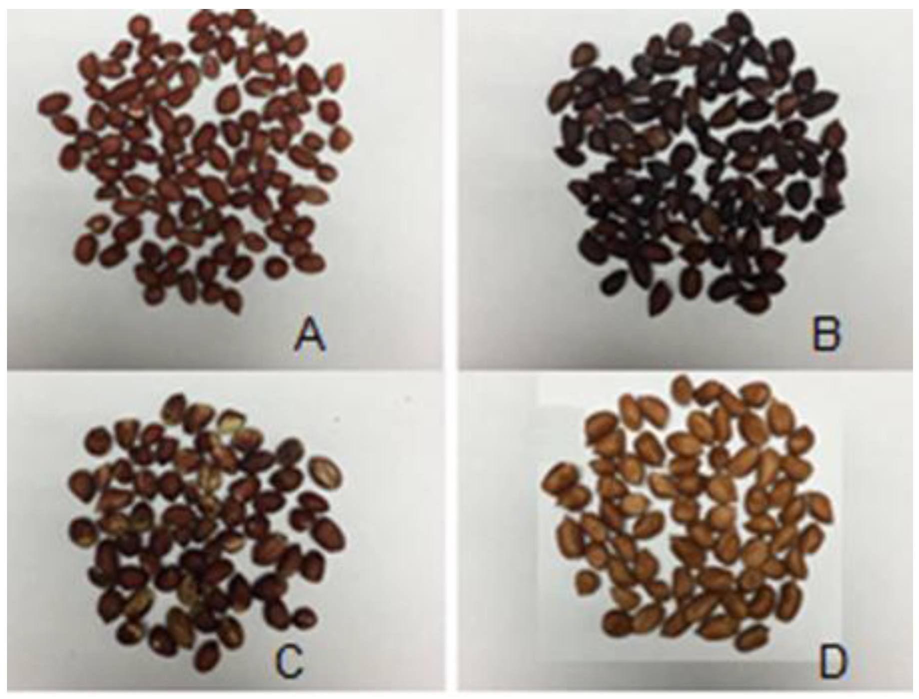 Preprints 169660 g001