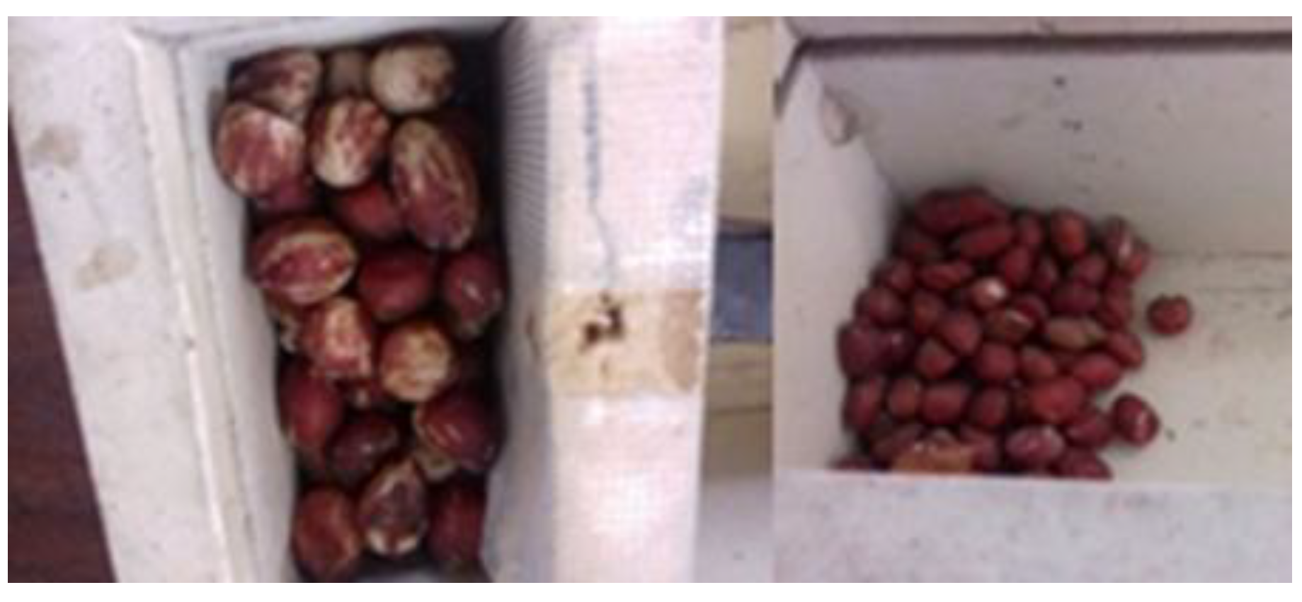 Preprints 169660 g002