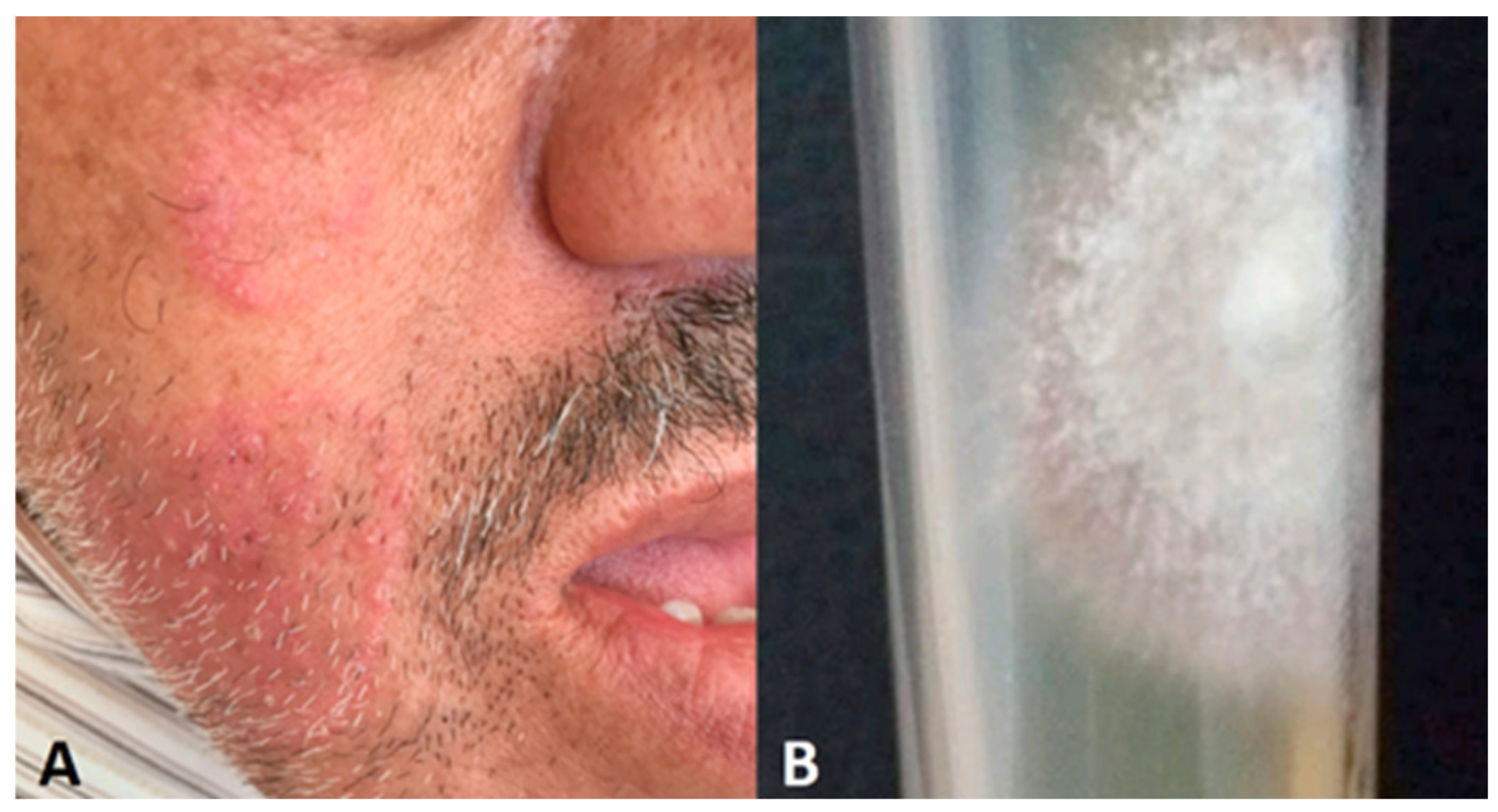 Preprints 95205 g006