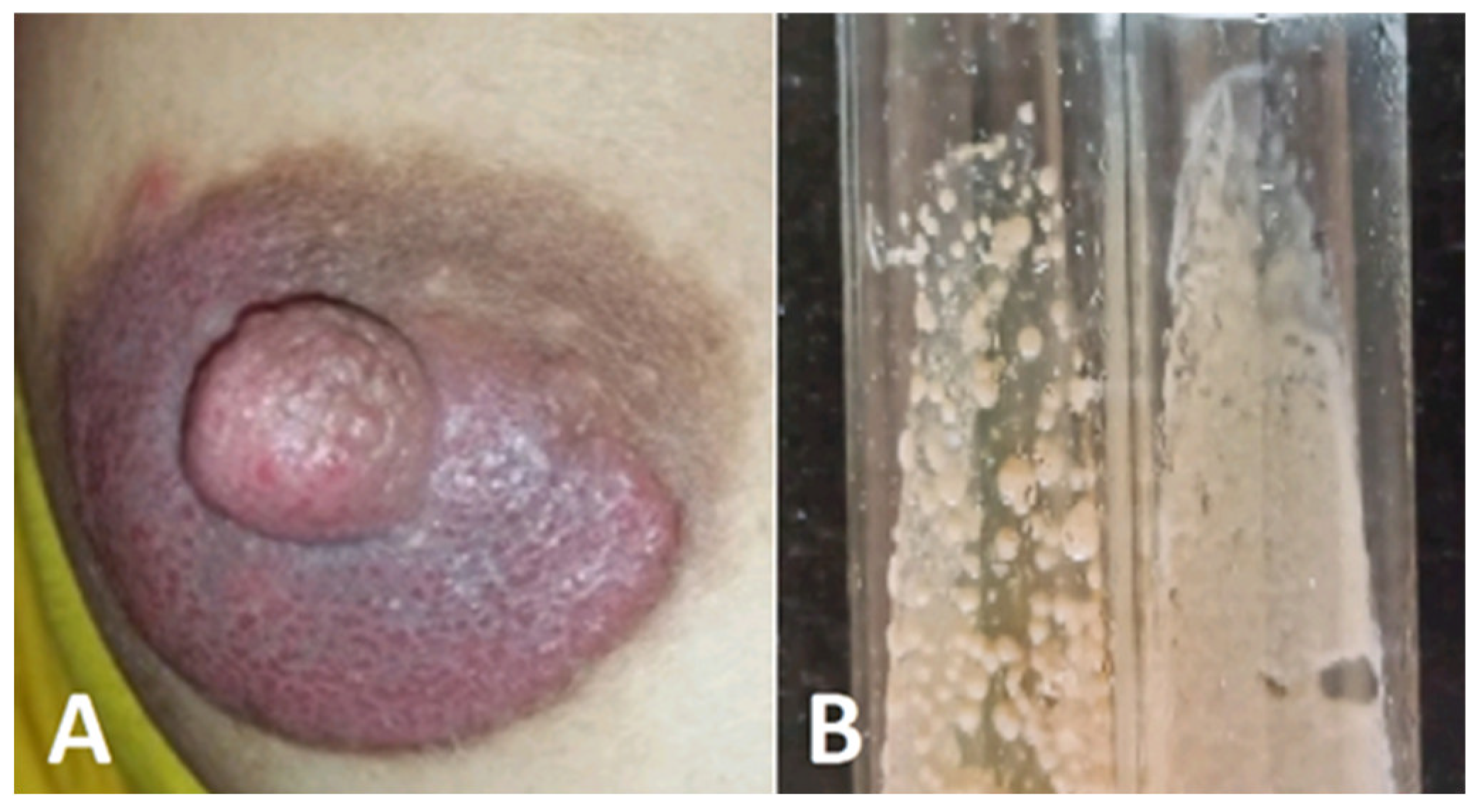 Preprints 95205 g007