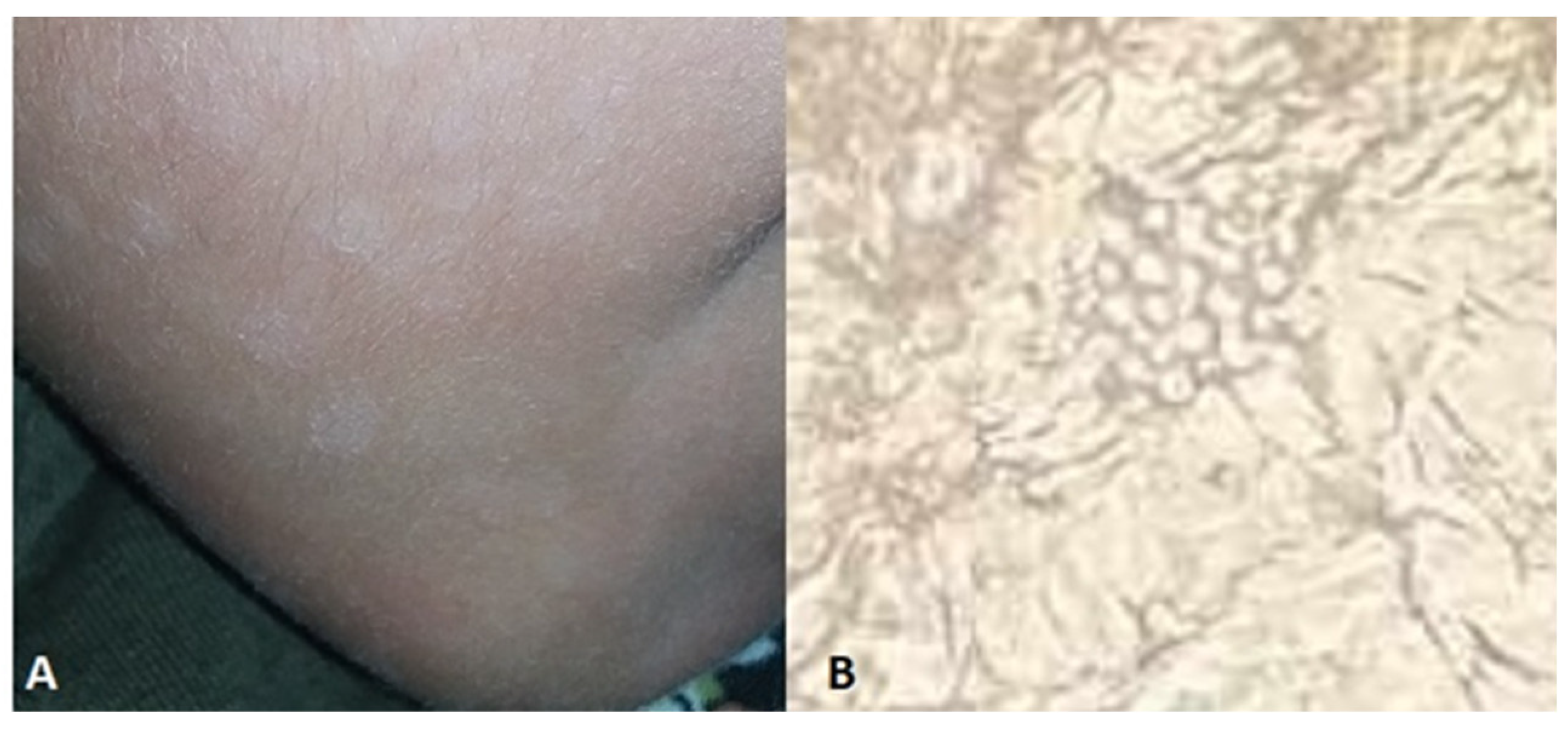 Preprints 95205 g009