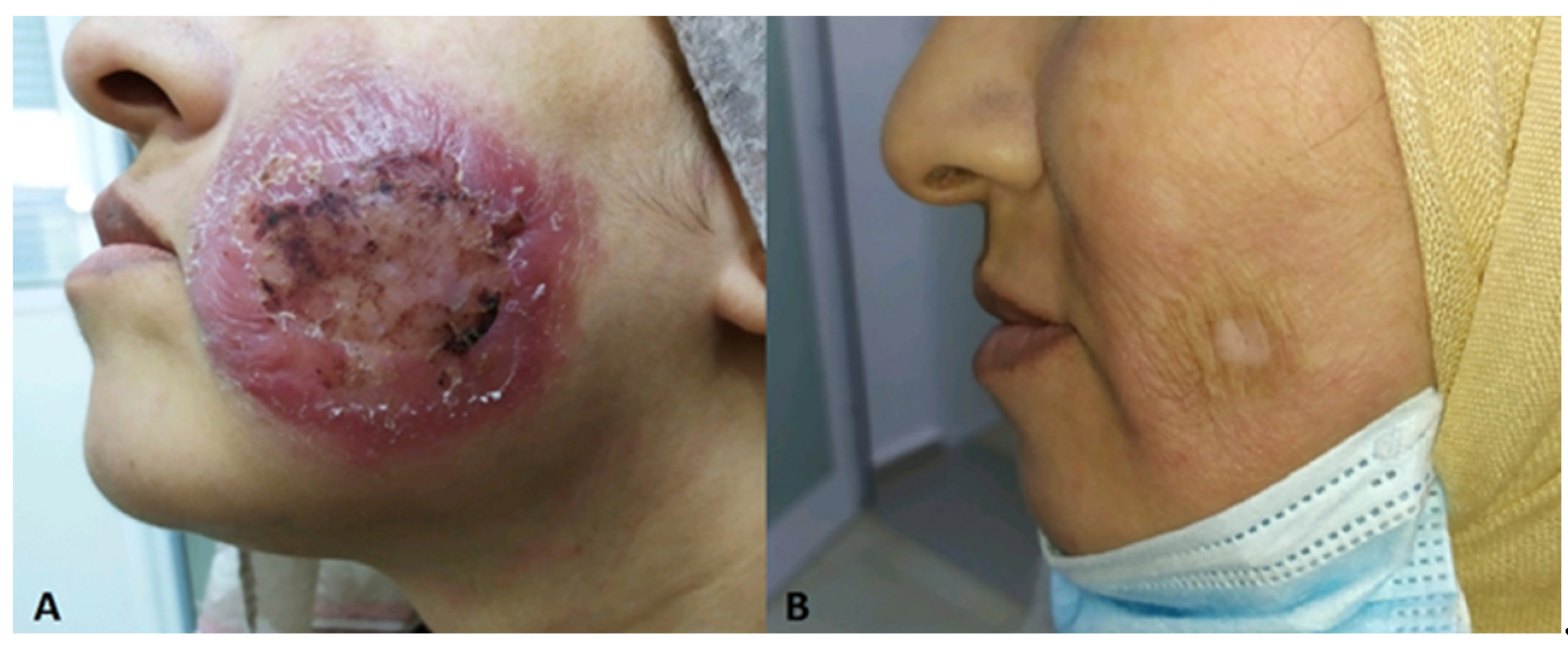 Preprints 95205 g010