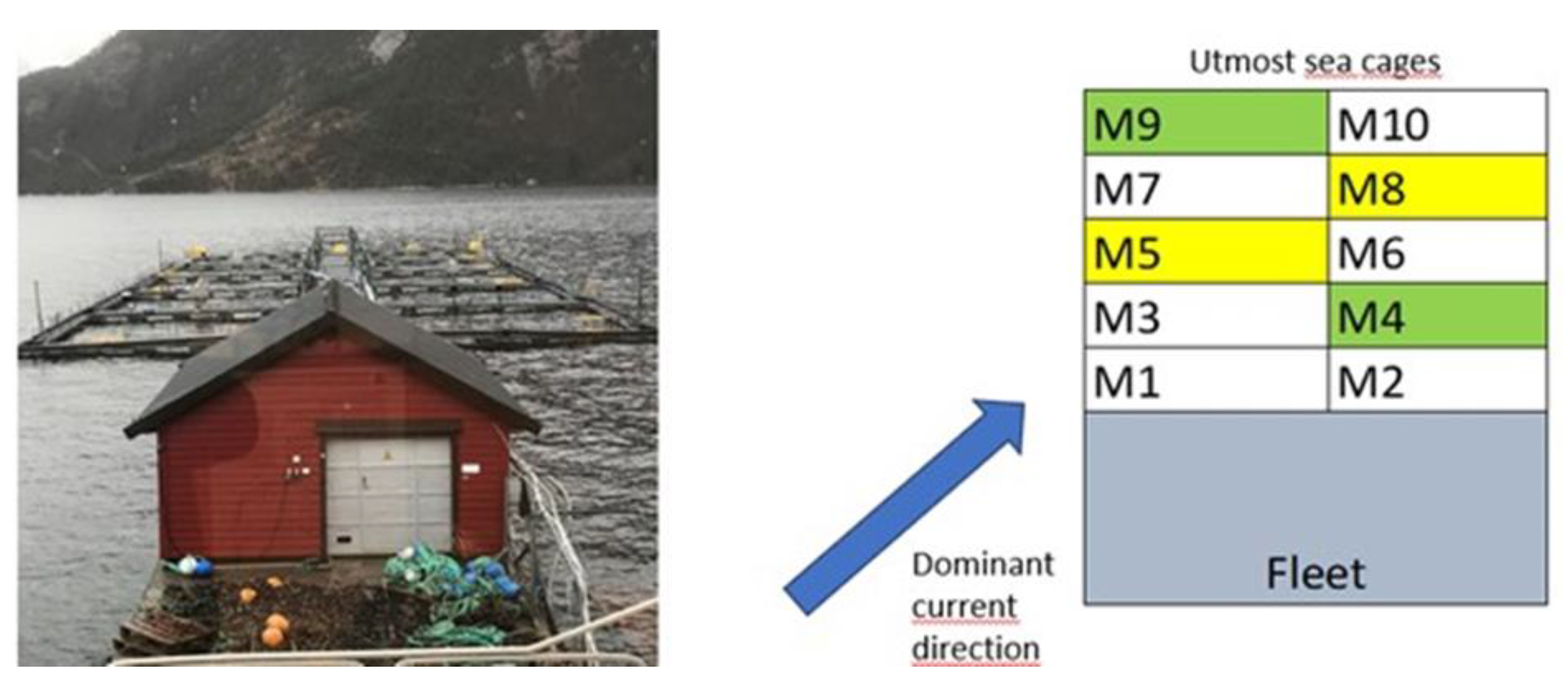 Preprints 150750 g001