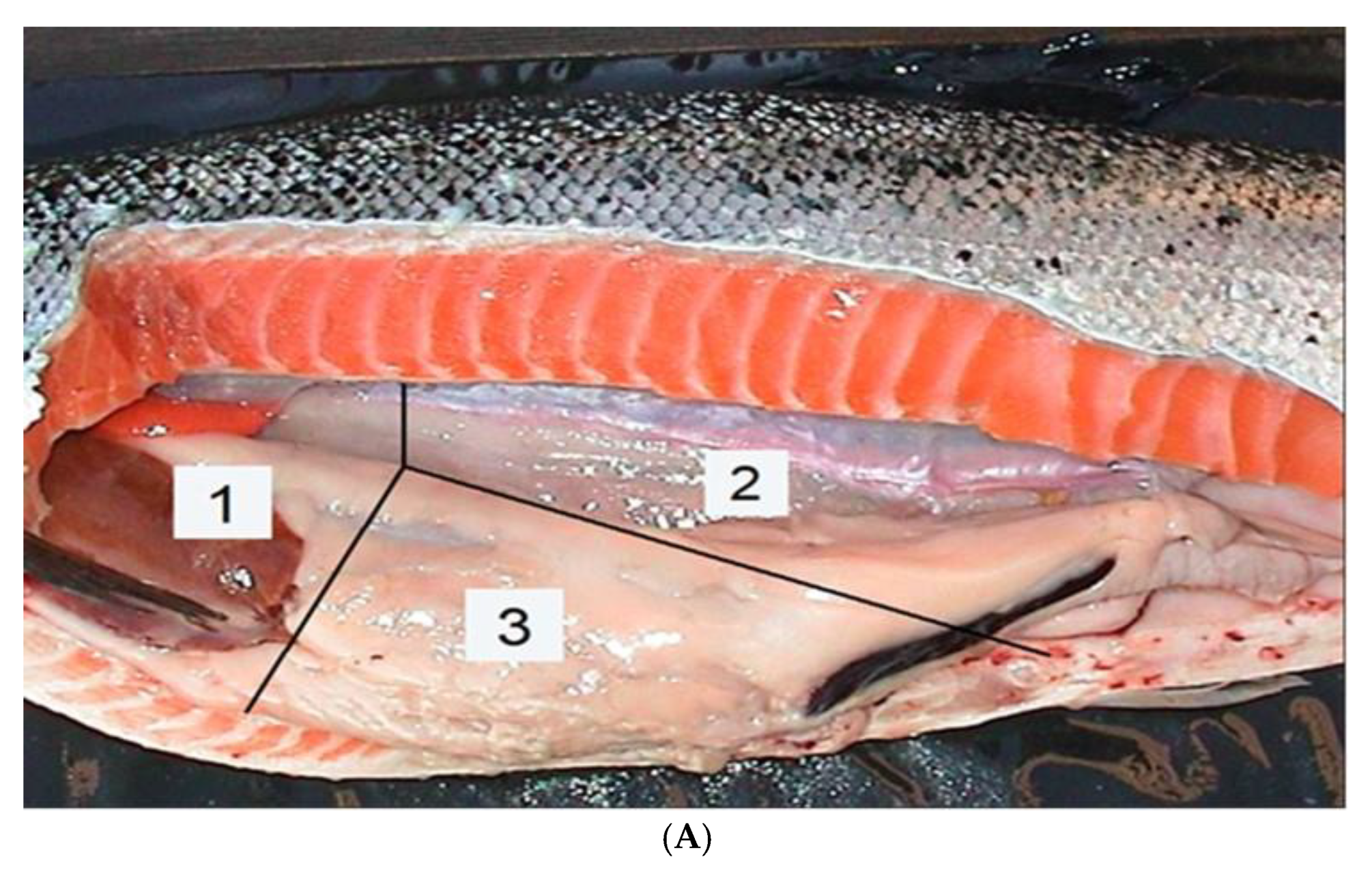 Preprints 150750 g002a