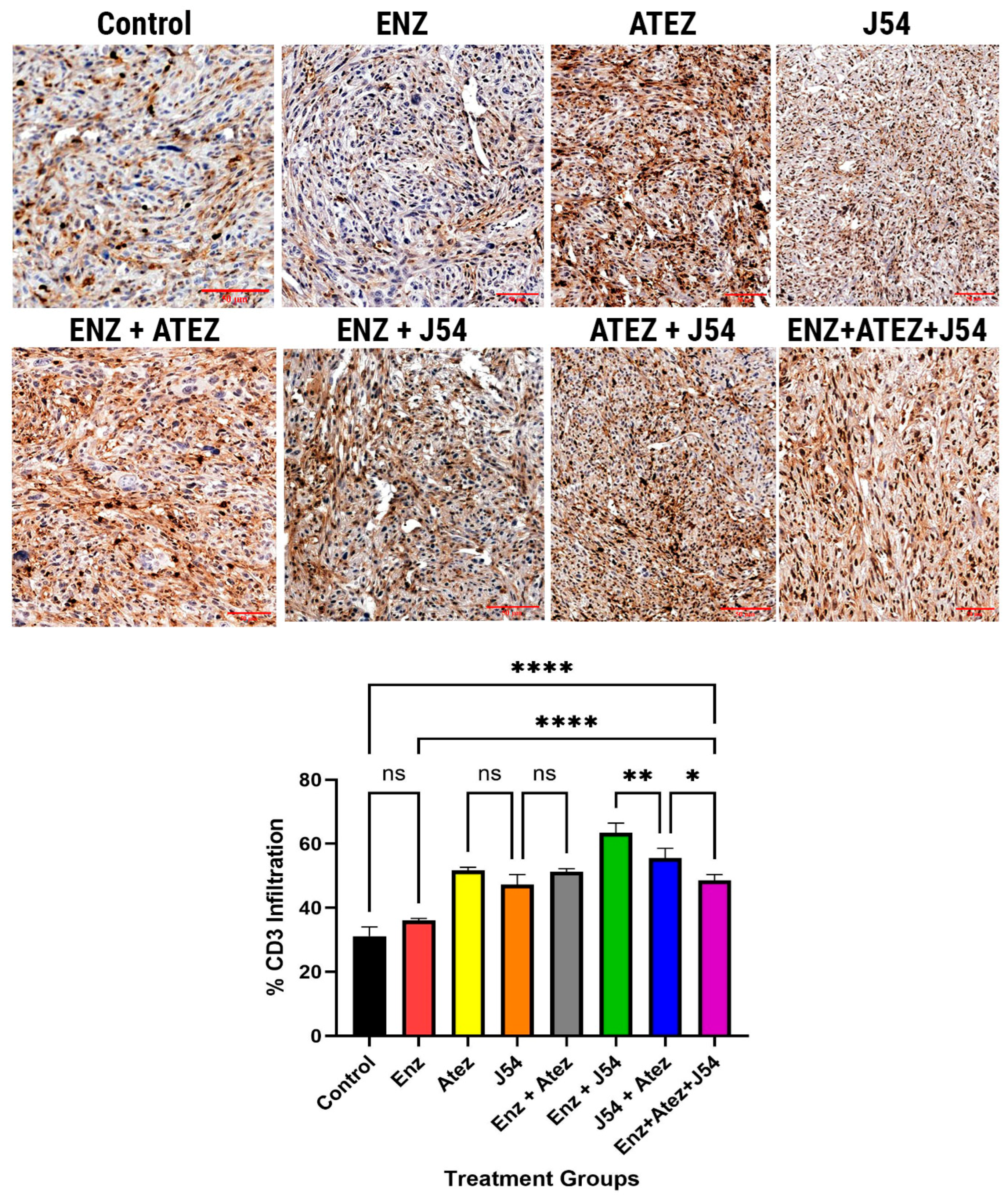 Preprints 160519 g002