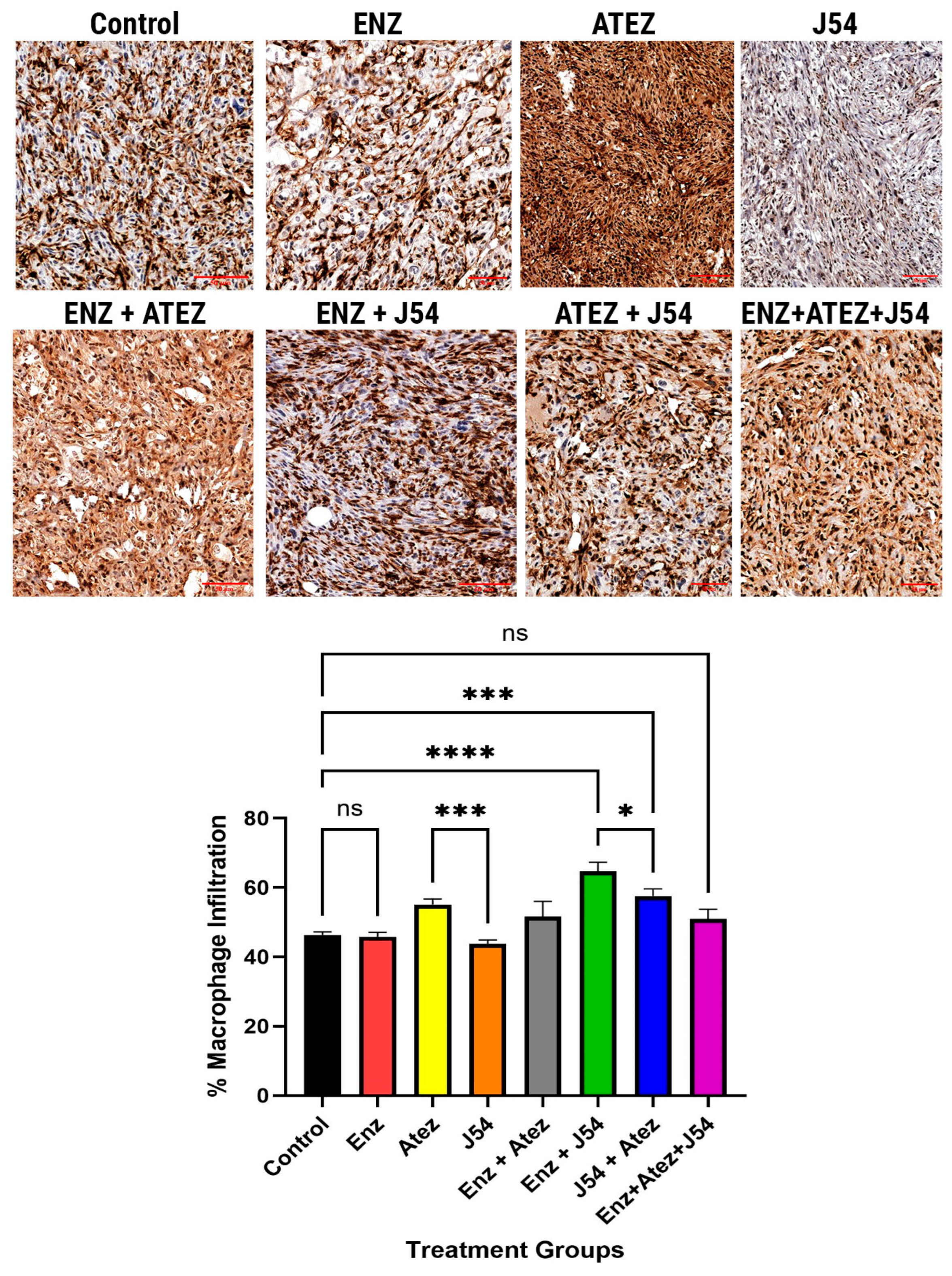 Preprints 160519 g003