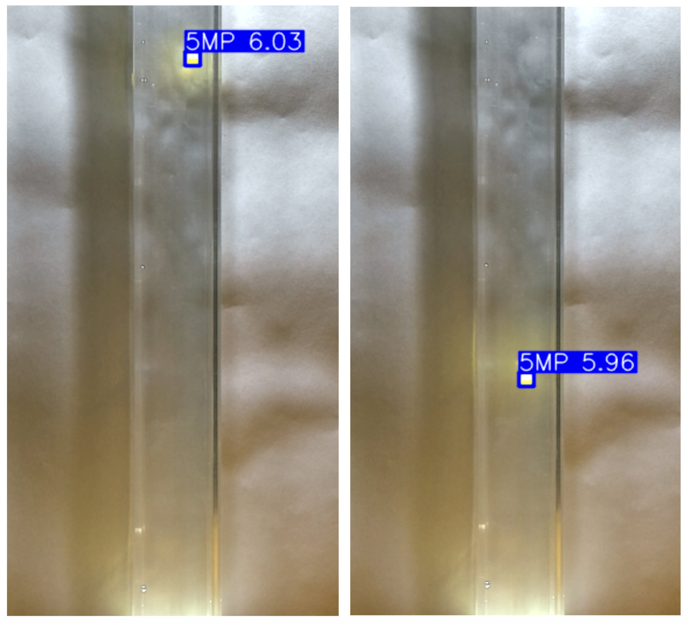 Preprints 172954 g002