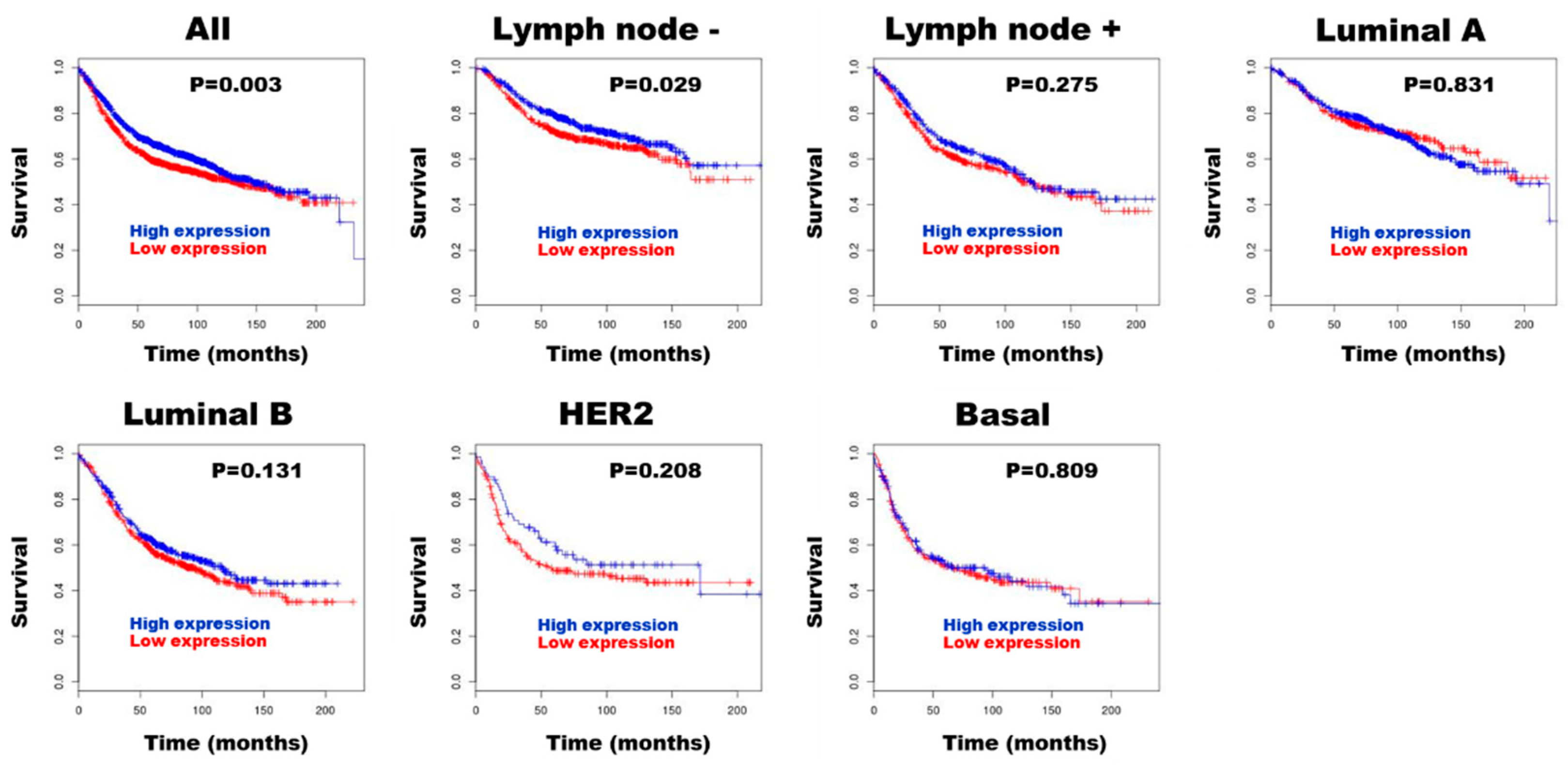 Preprints 152986 g004