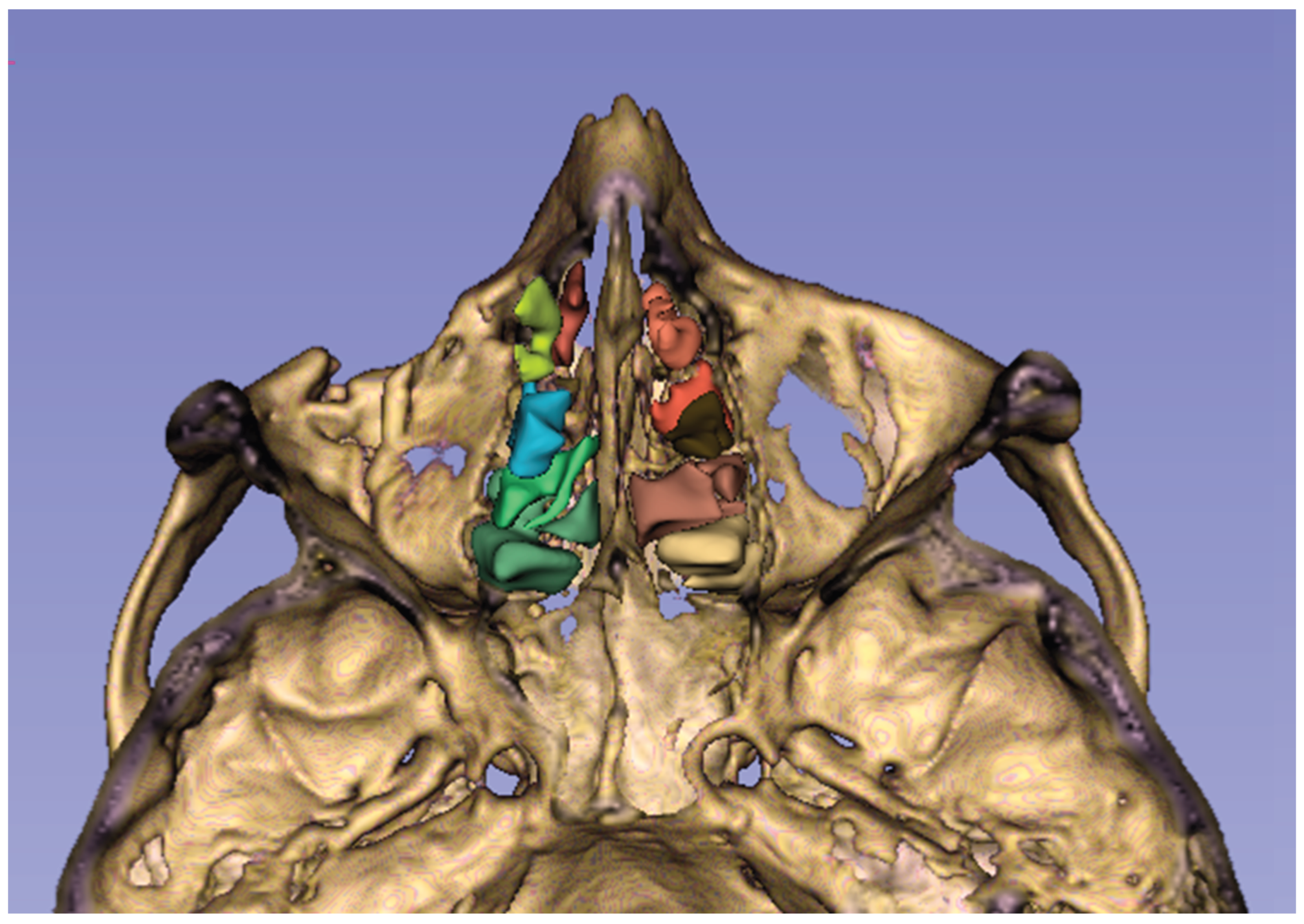 Preprints 187995 g001