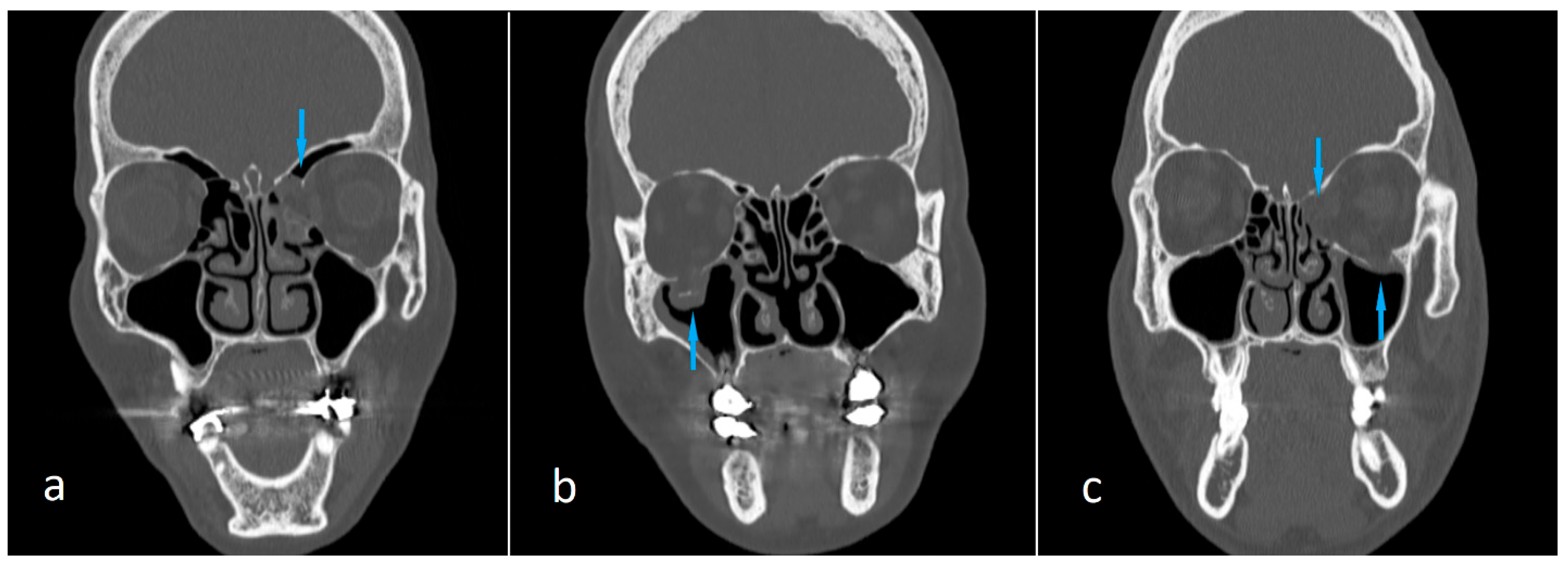 Preprints 187995 g002