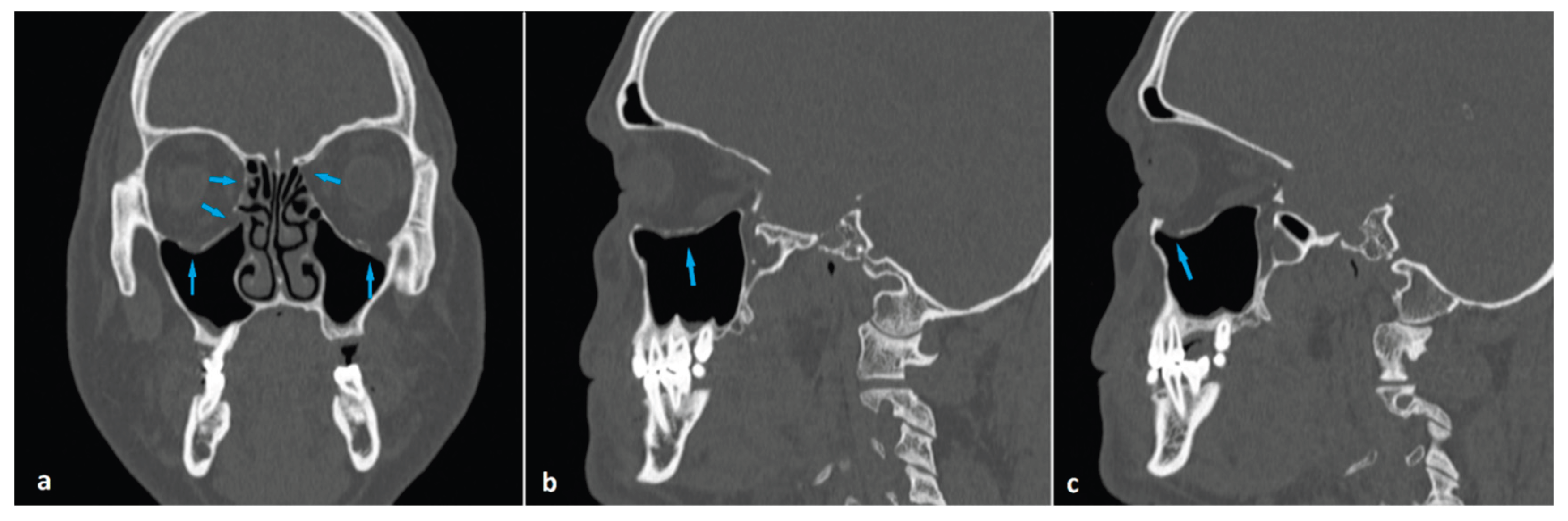 Preprints 187995 g005