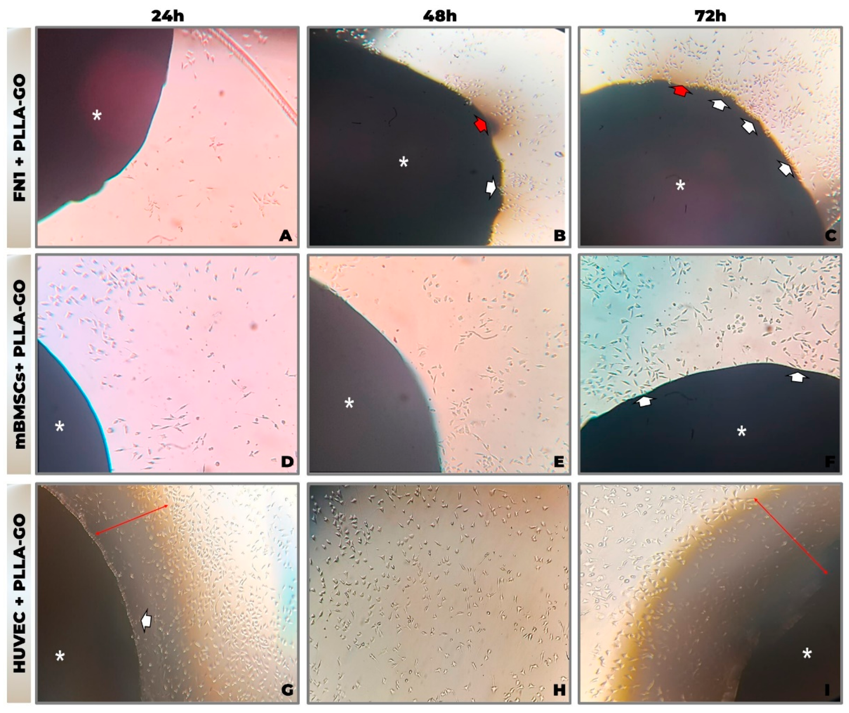 Preprints 162434 g001