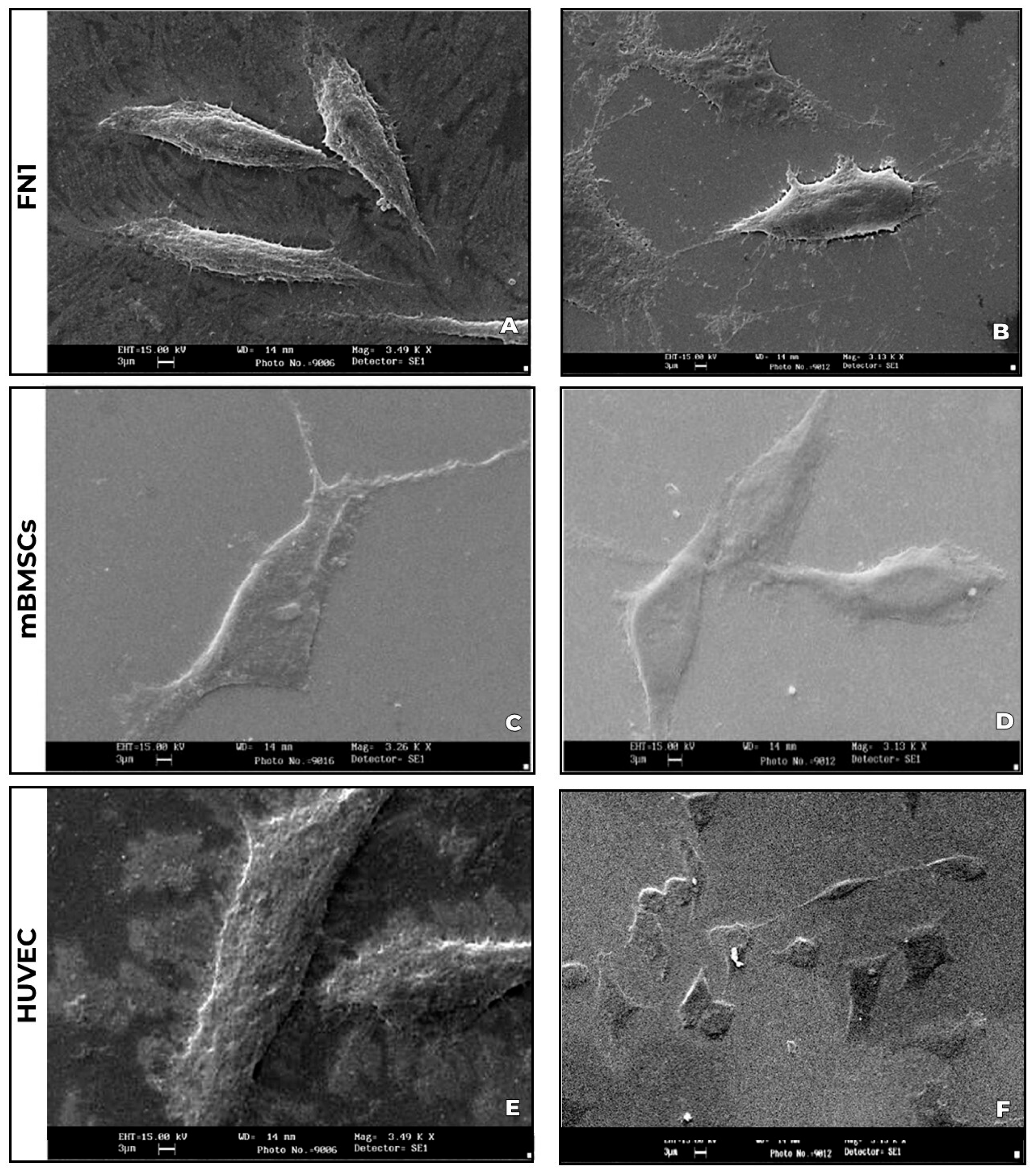 Preprints 162434 g002