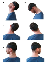 Preprints 84141 i002