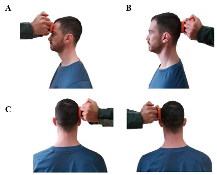 Preprints 84141 i003