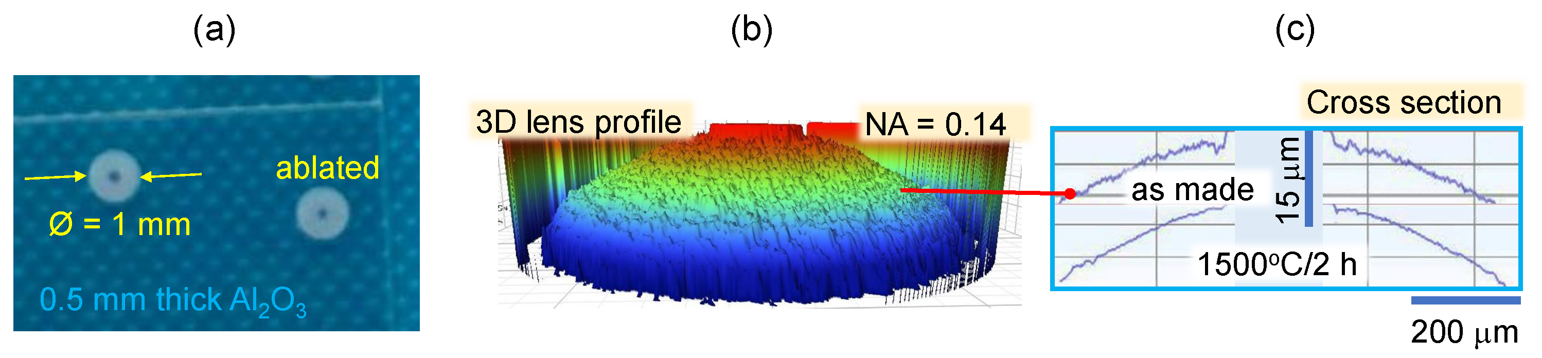 Preprints 70158 g001