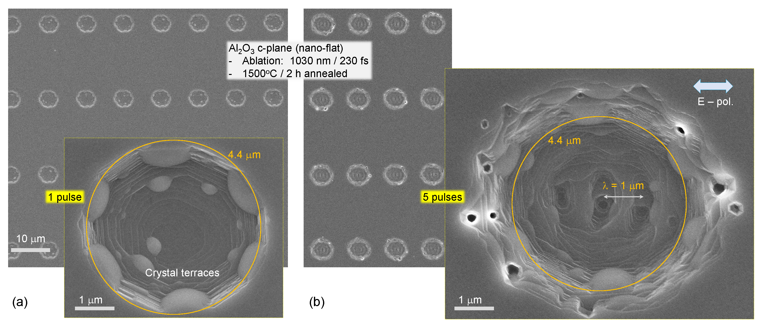 Preprints 70158 g002