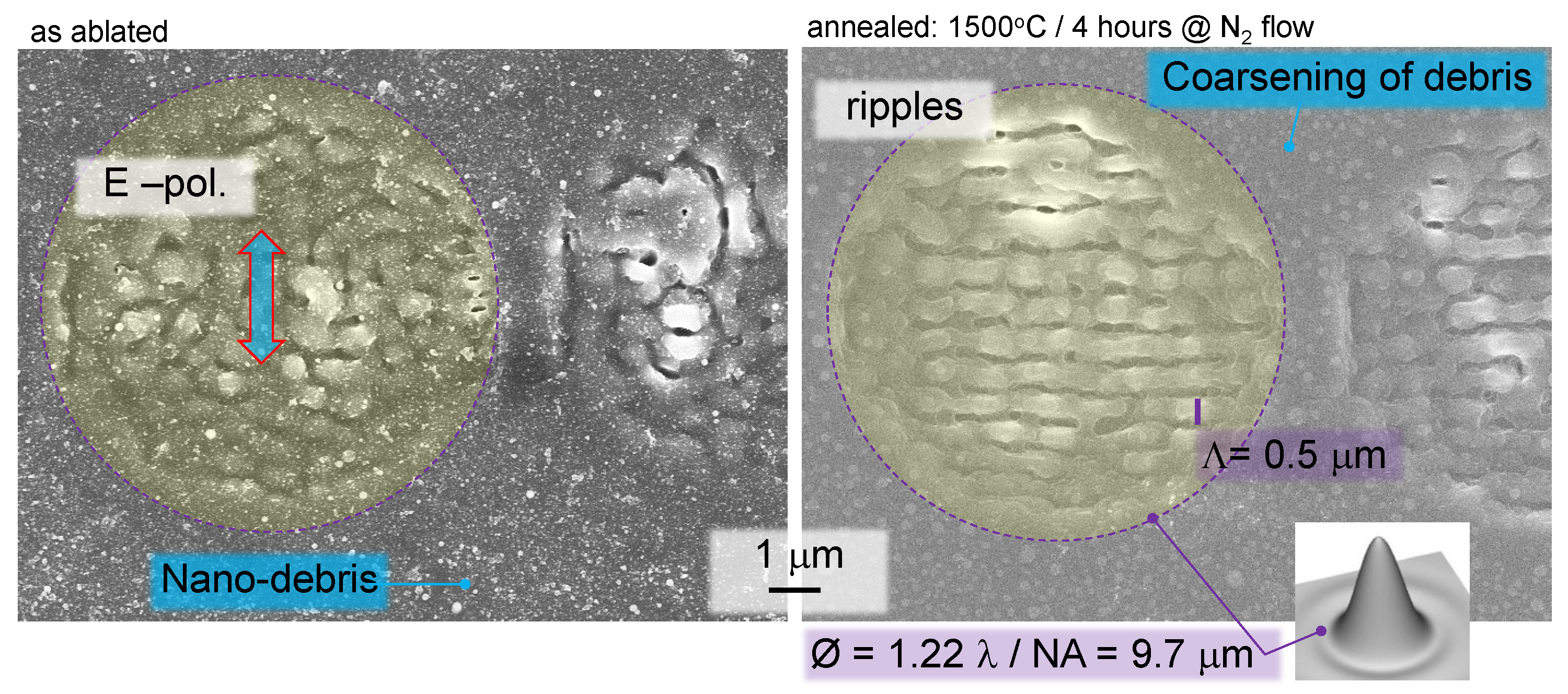 Preprints 70158 g003