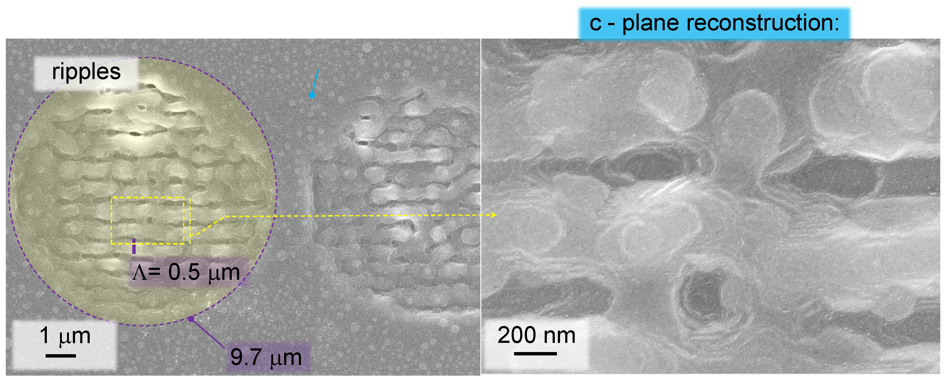 Preprints 70158 g004