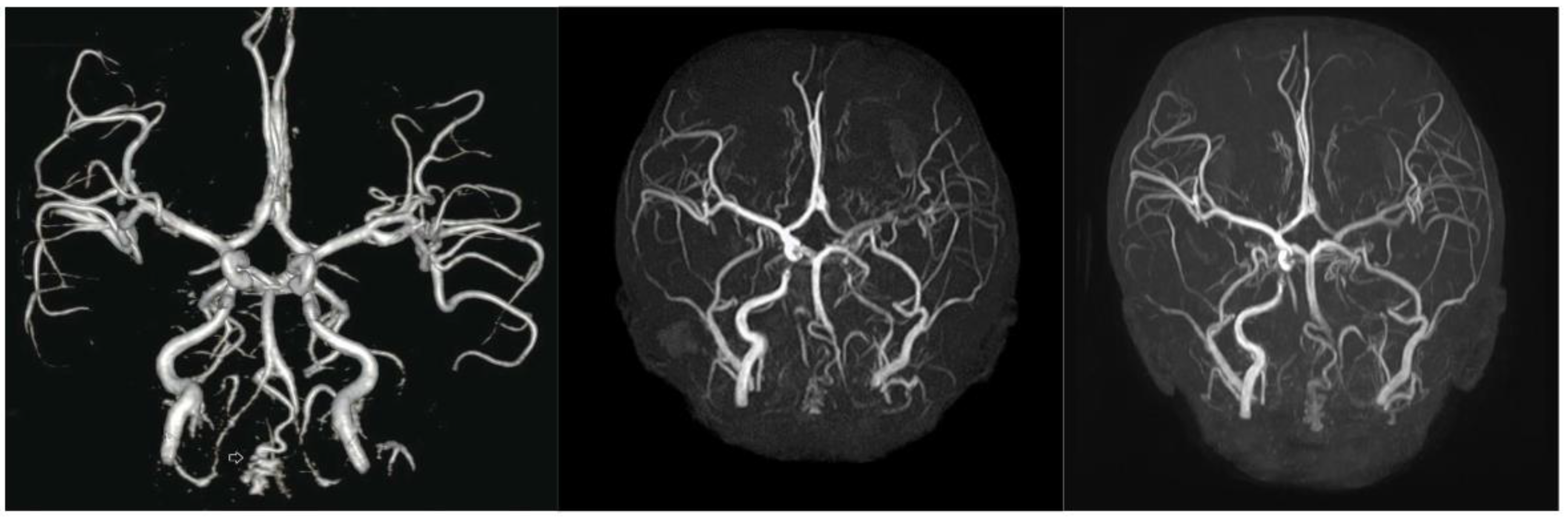 Preprints 149762 g003