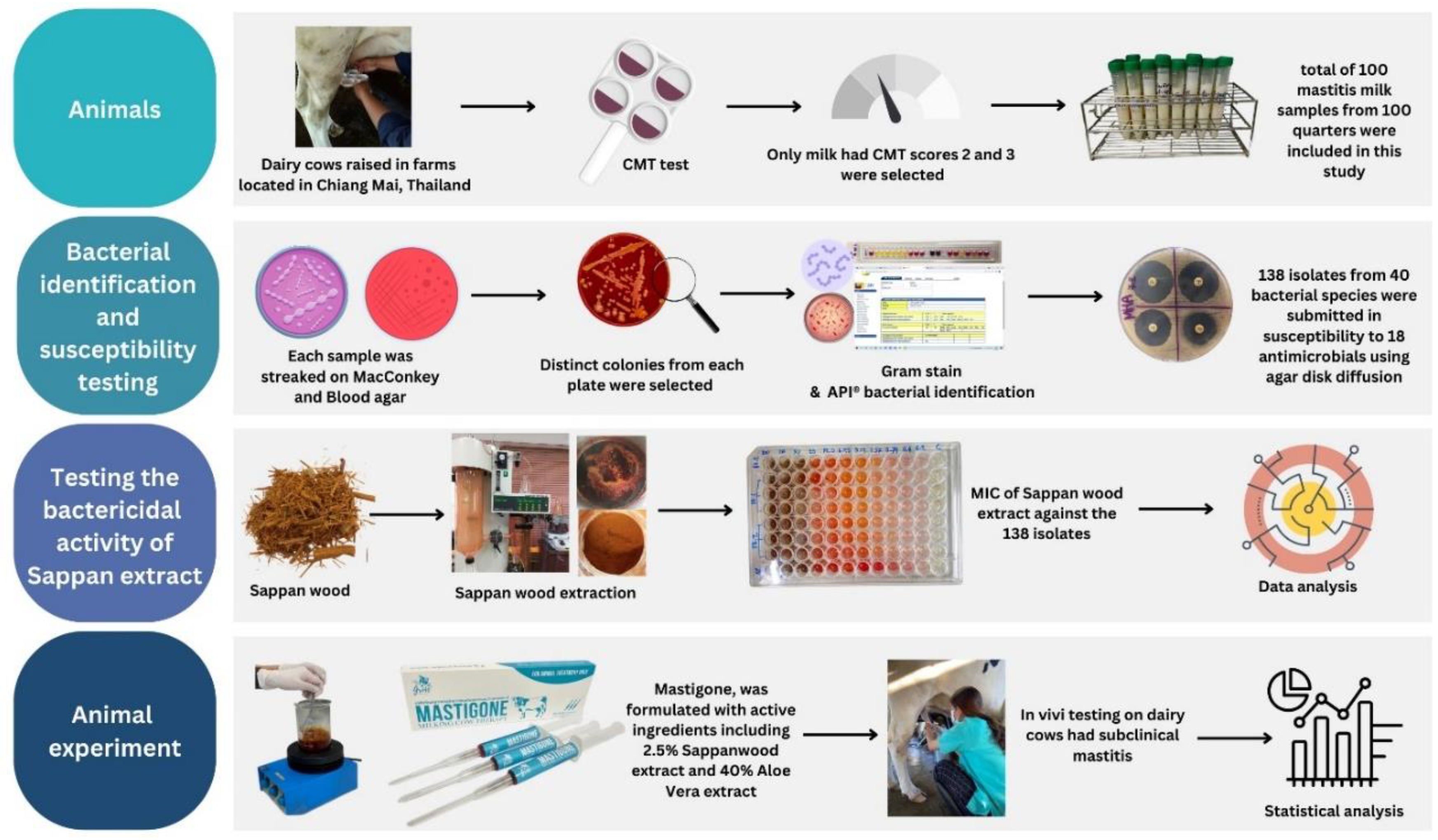 Preprints 150730 g001