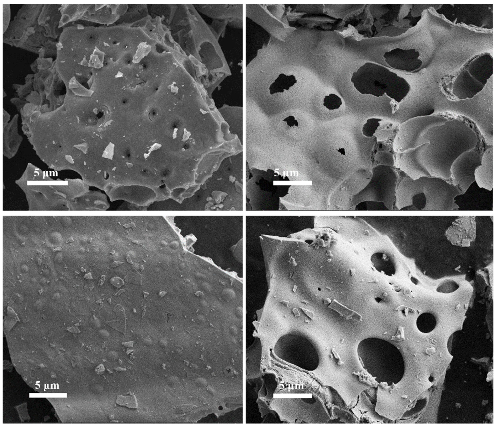 Preprints 144675 g002