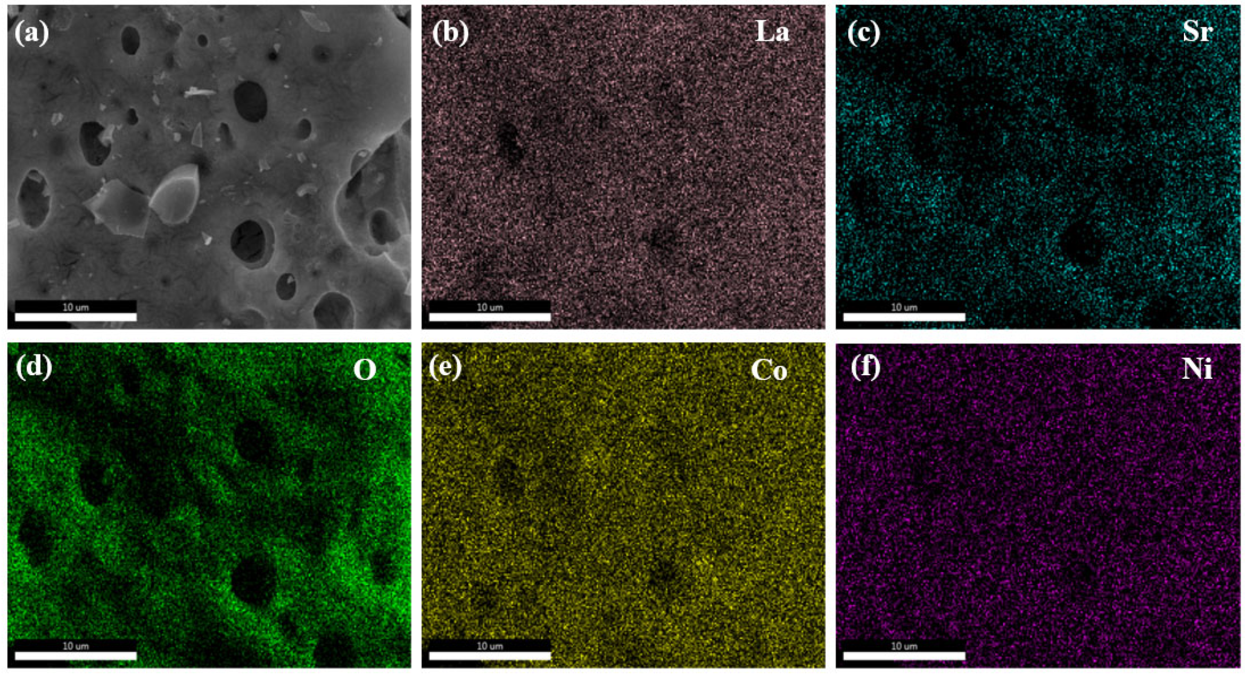 Preprints 144675 g003
