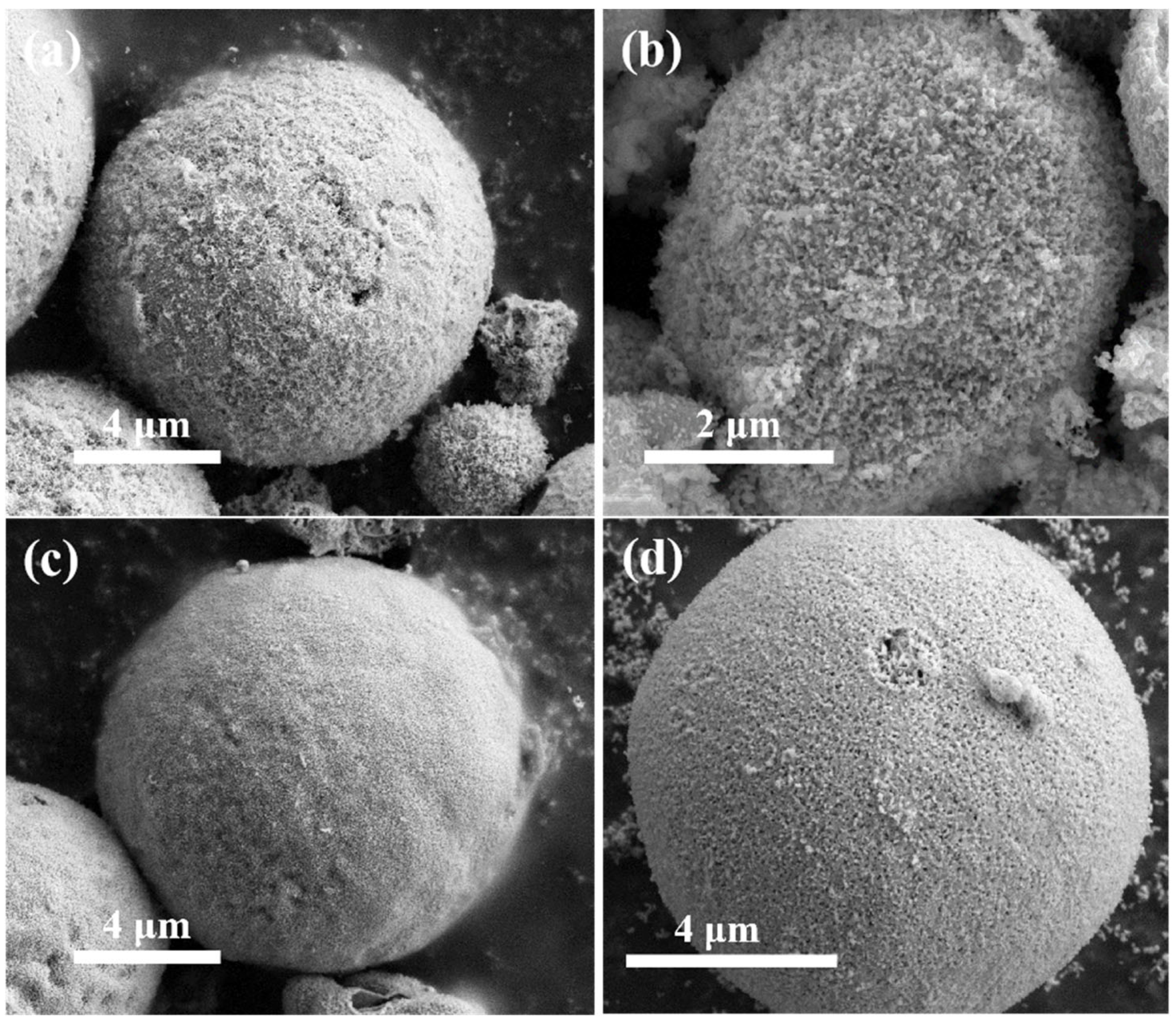 Preprints 144675 g004