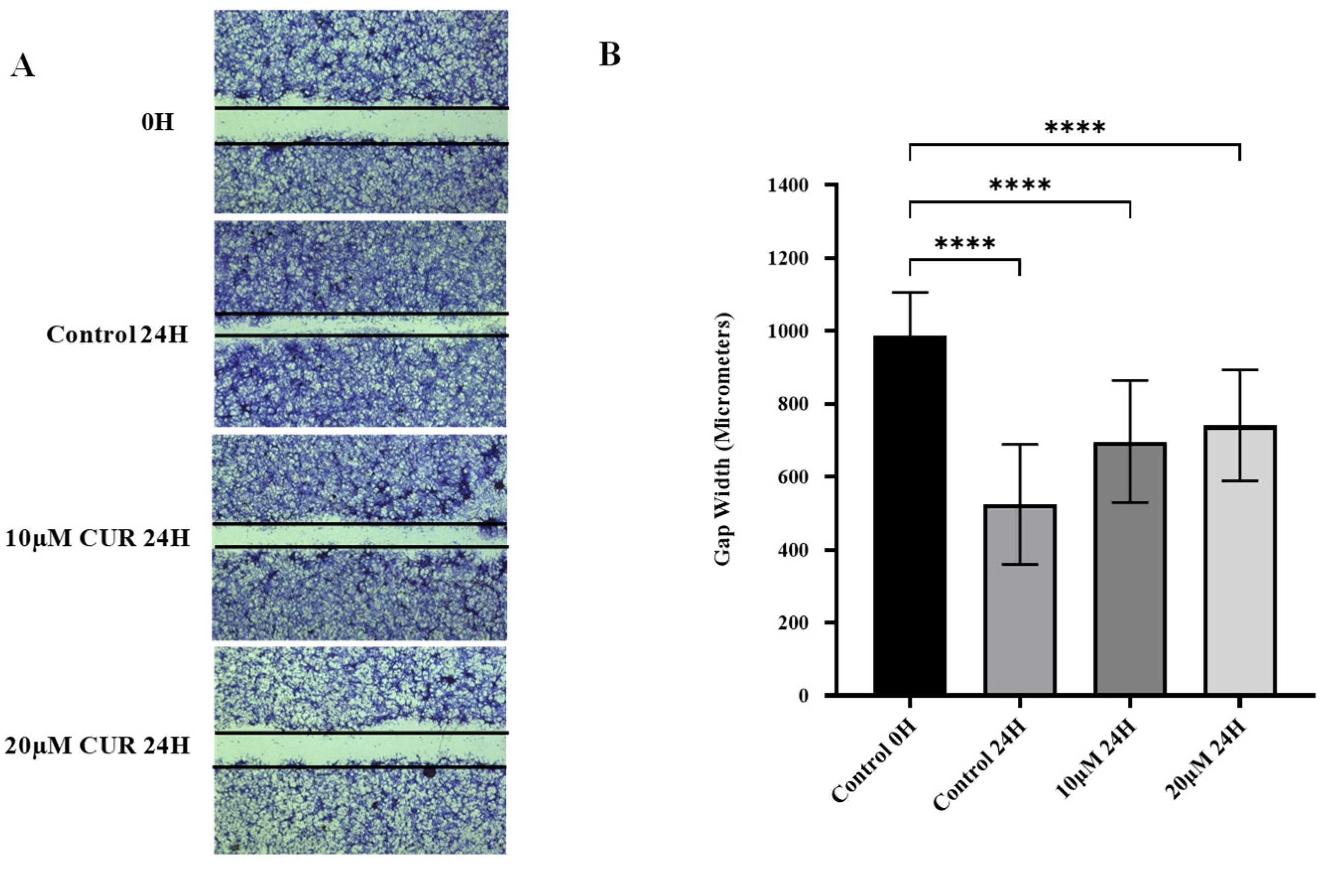 Preprints 154774 g002