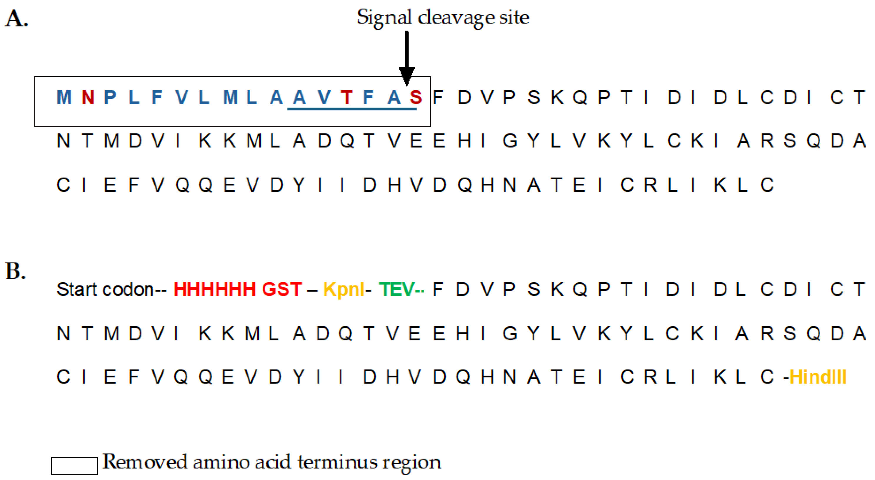 Preprints 151688 g001