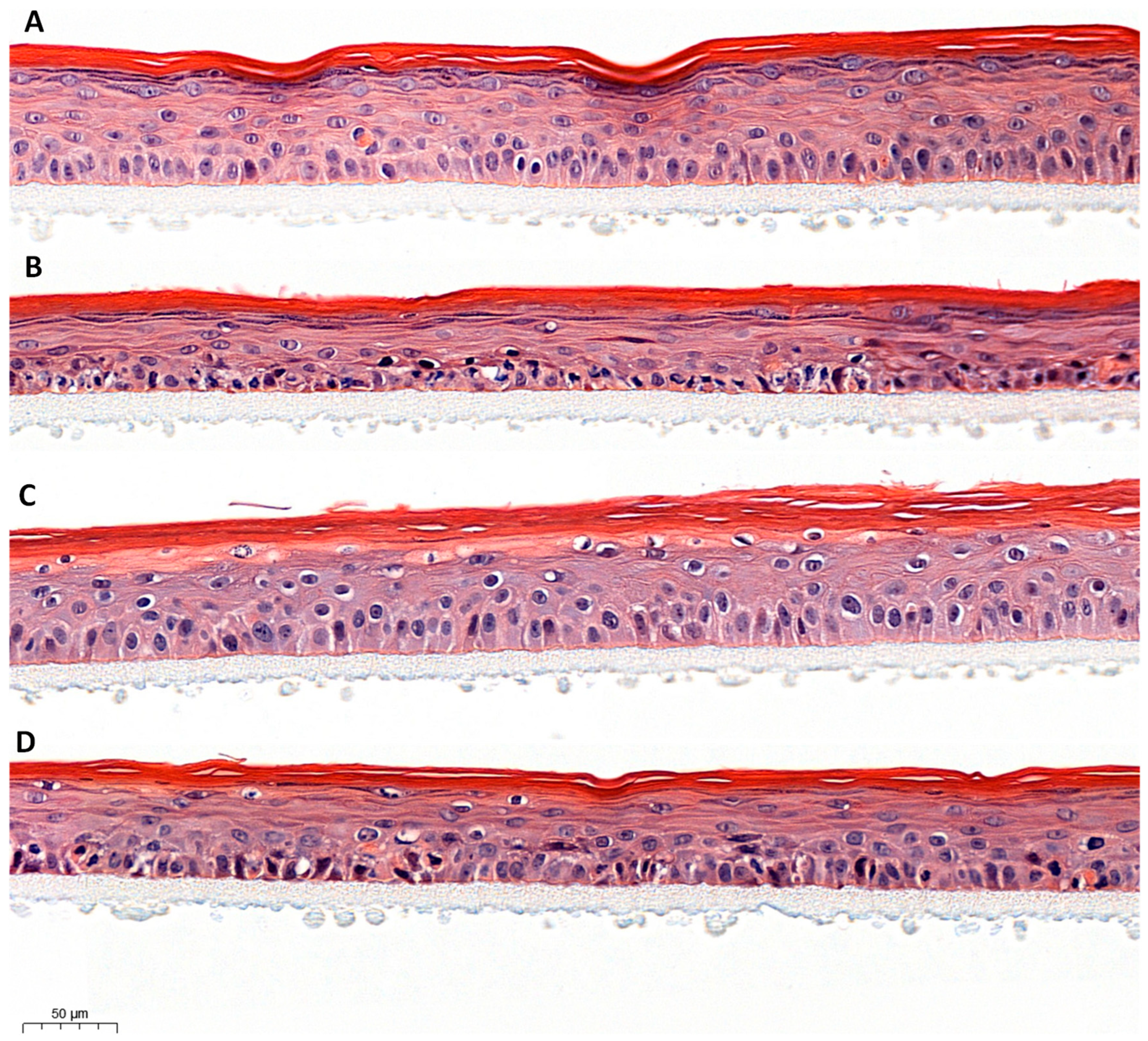 Preprints 94059 g002