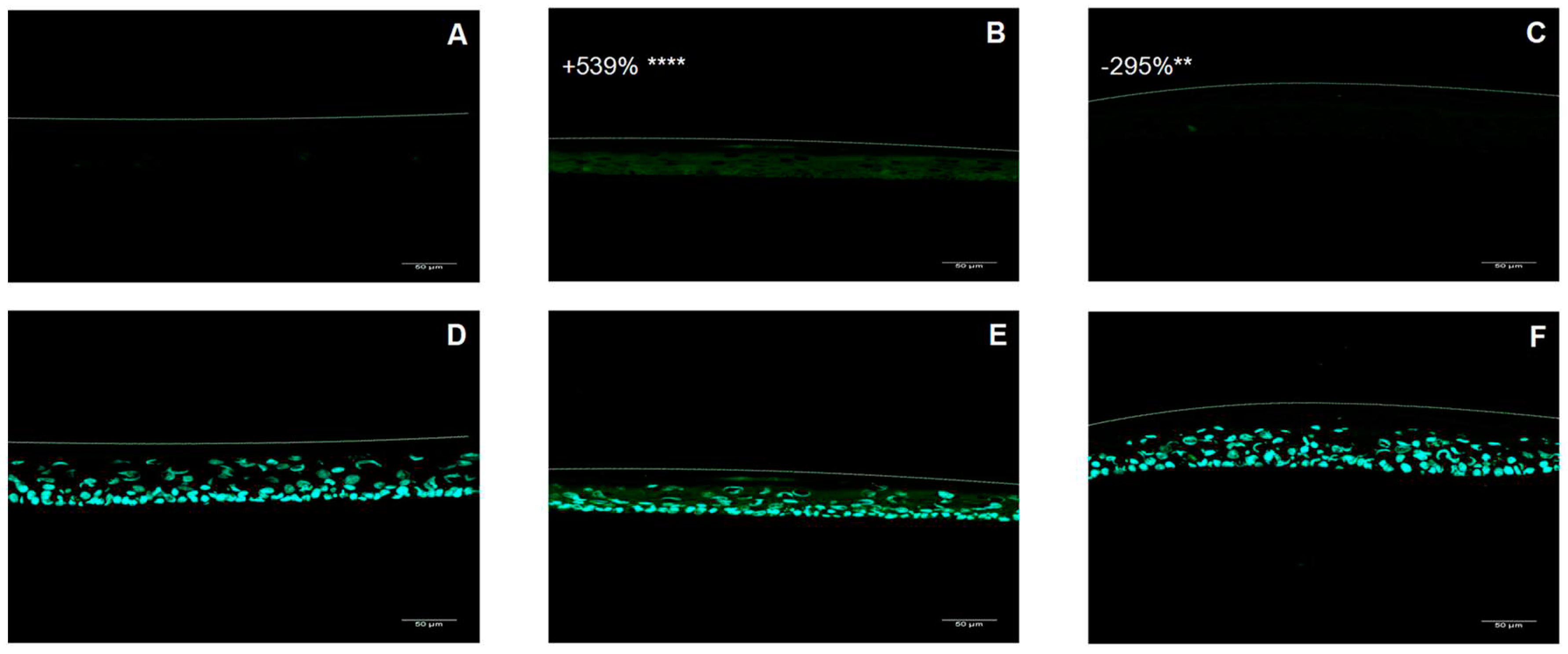 Preprints 94059 g003