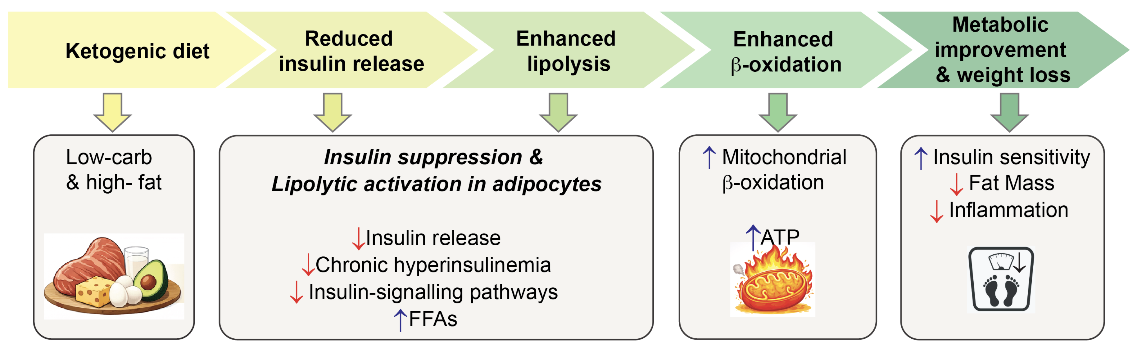 Preprints 212596 g002
