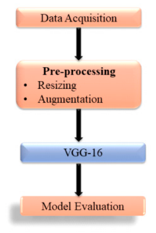 Preprints 237080 g004 Preprints 237080 g004
