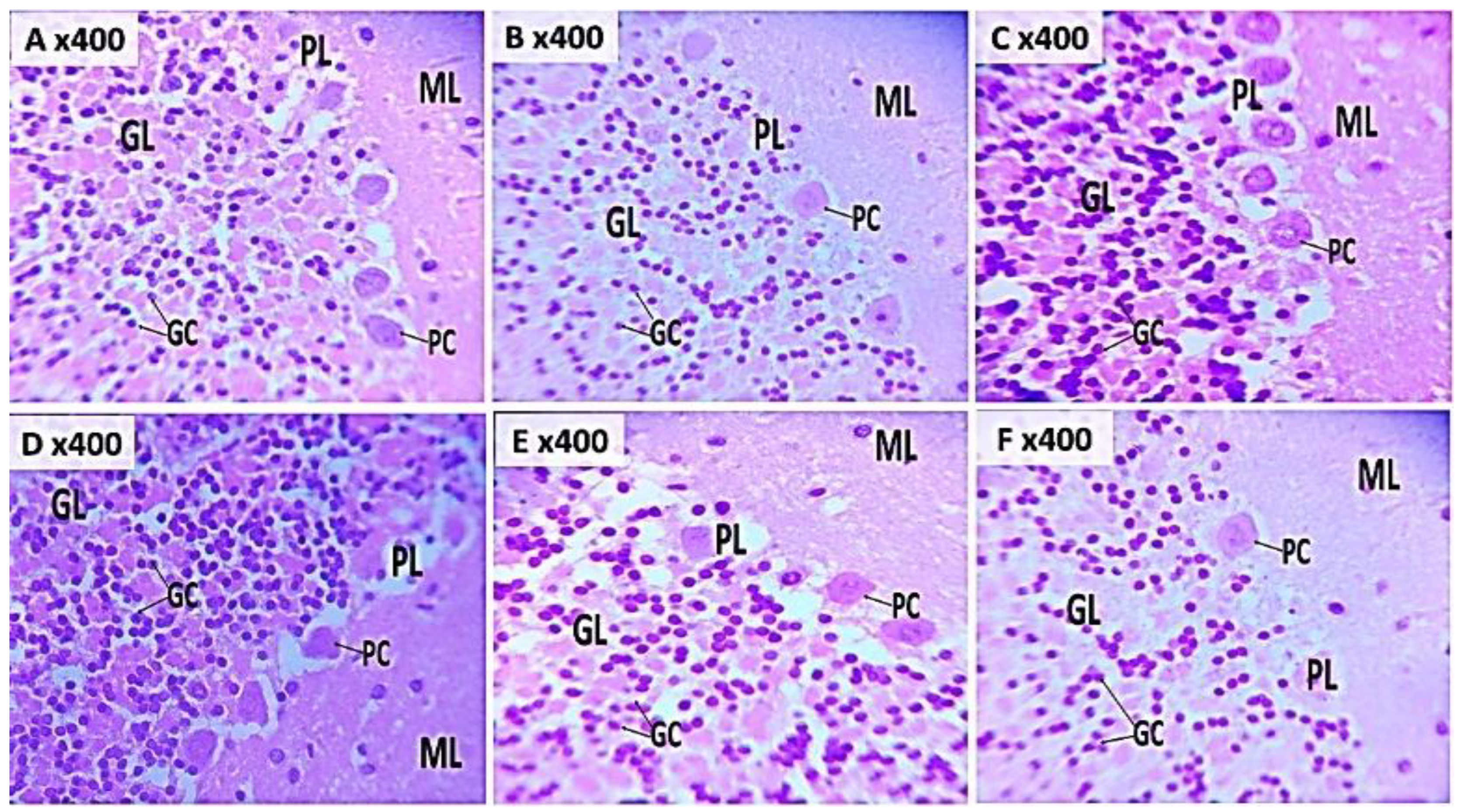 Preprints 193216 g007