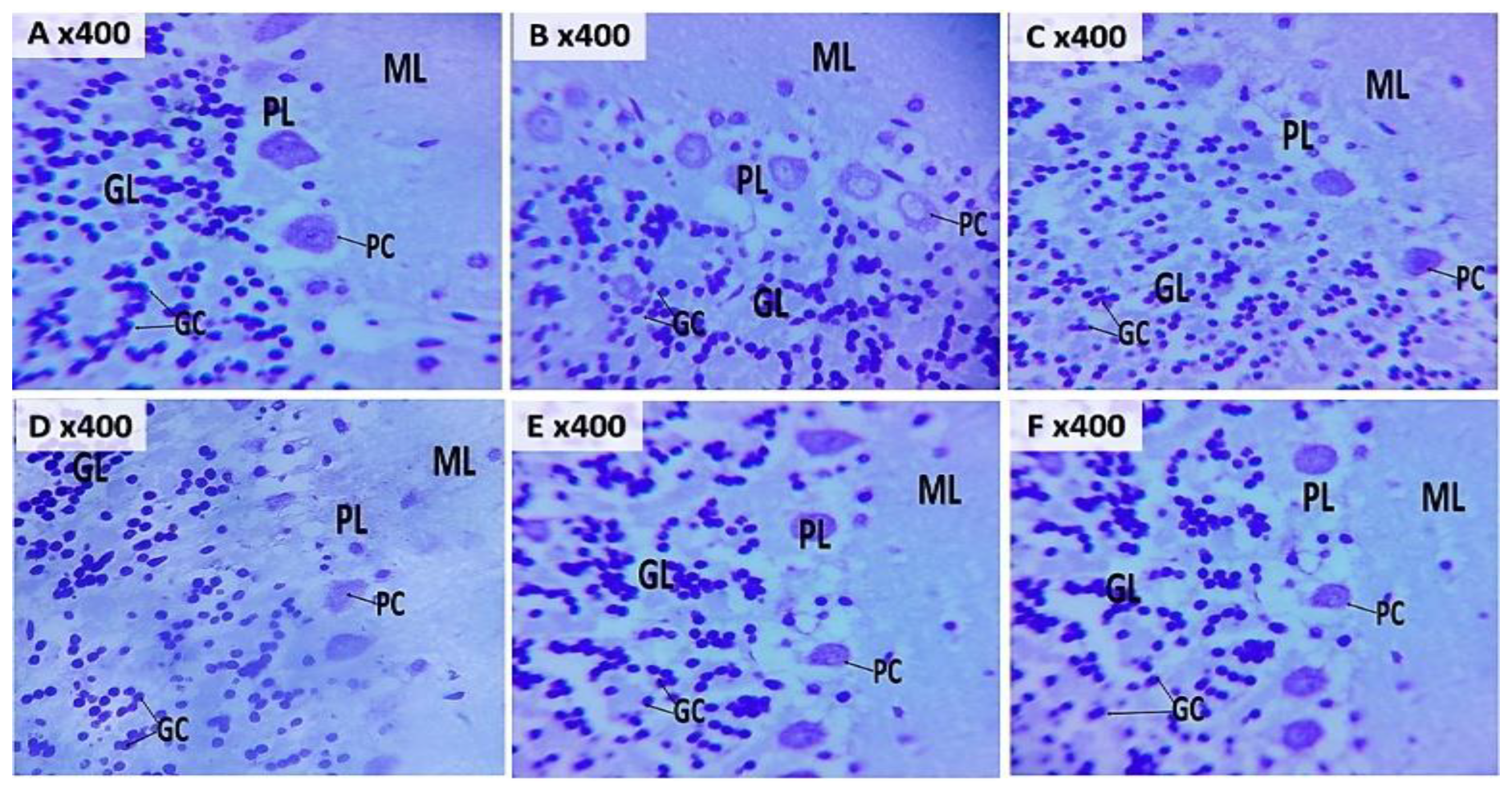 Preprints 193216 g008