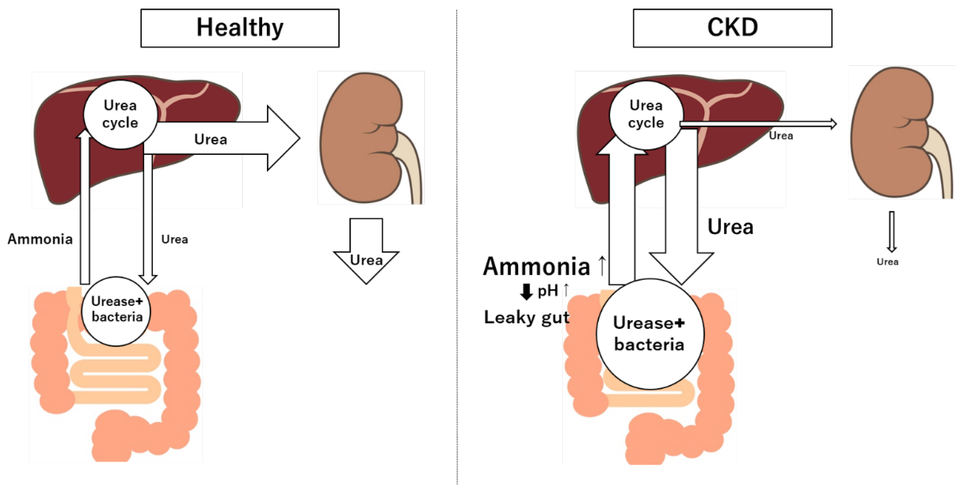 Preprints 139841 g002